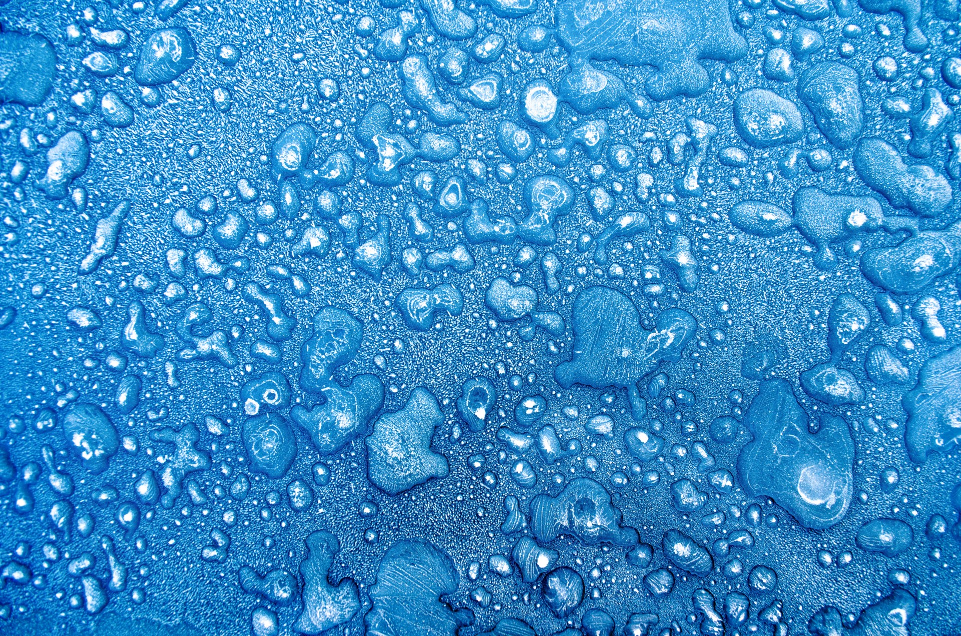 Frozen Water Drops Free Stock Photo - Public Domain Pictures