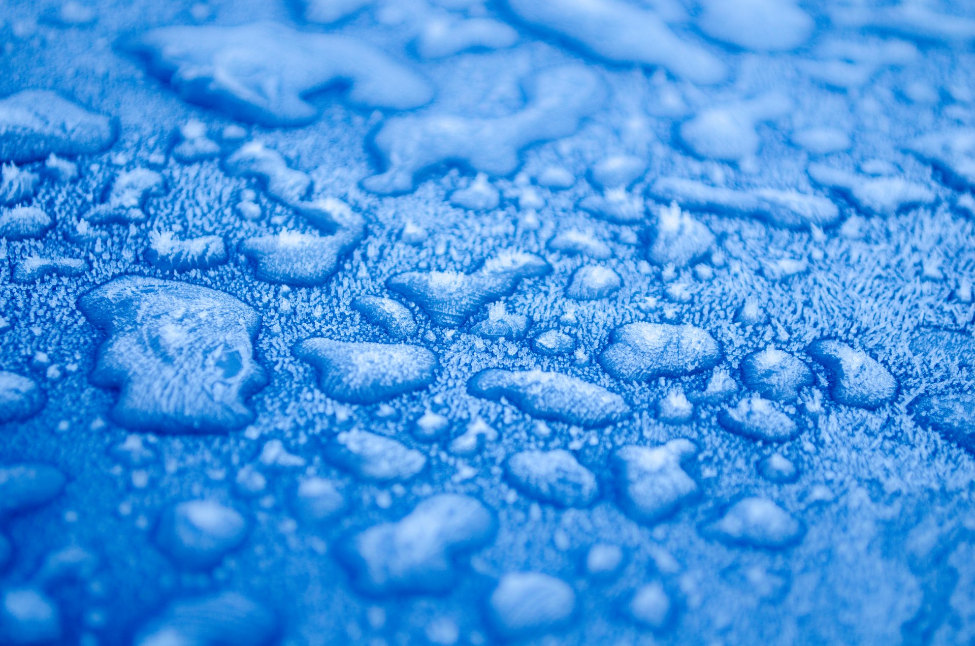 Frozen Water Drops Free Stock Photo - Public Domain Pictures
