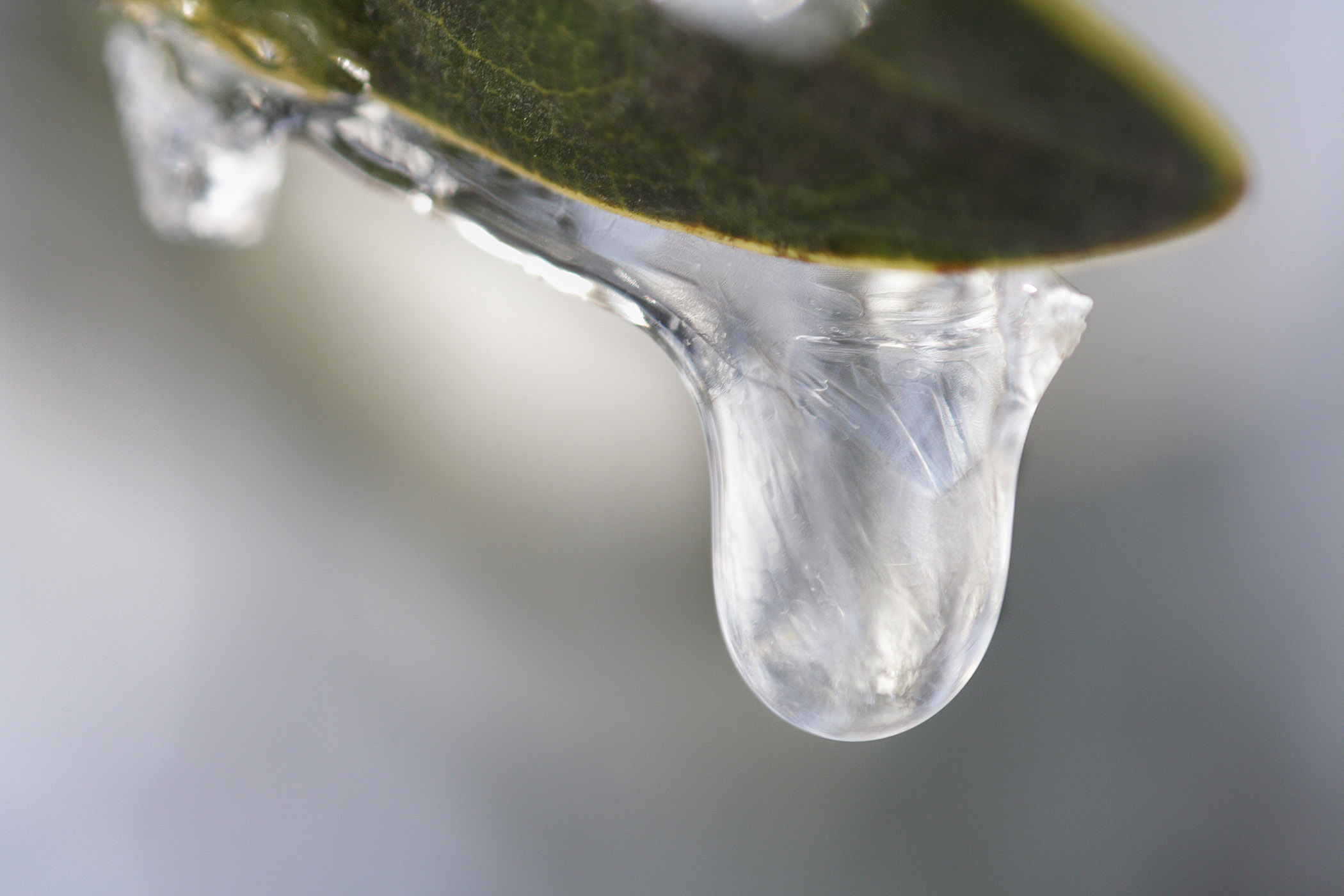 File:Frozen droplet.jpg - Wikimedia Commons