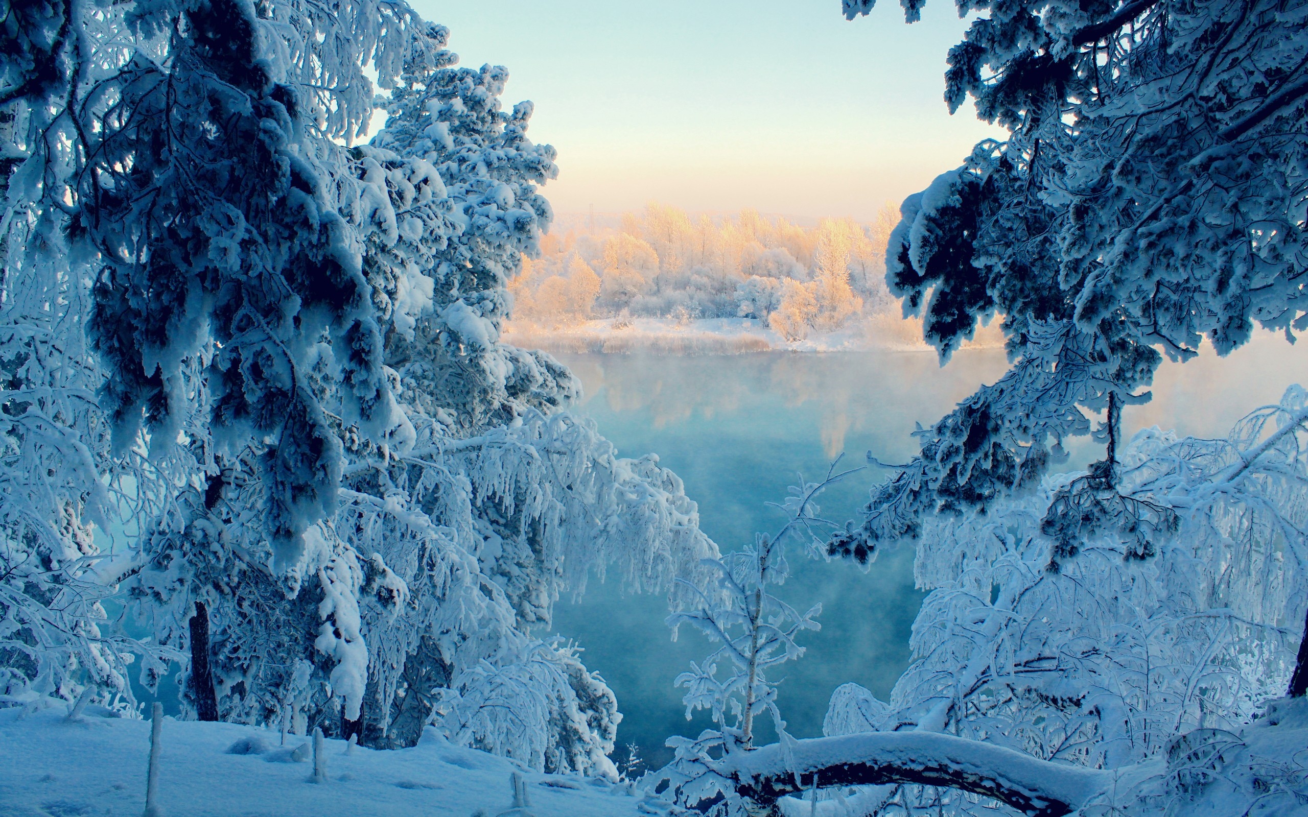 Frozen Winter Lake Snow Trees View Desktop Wallpaper