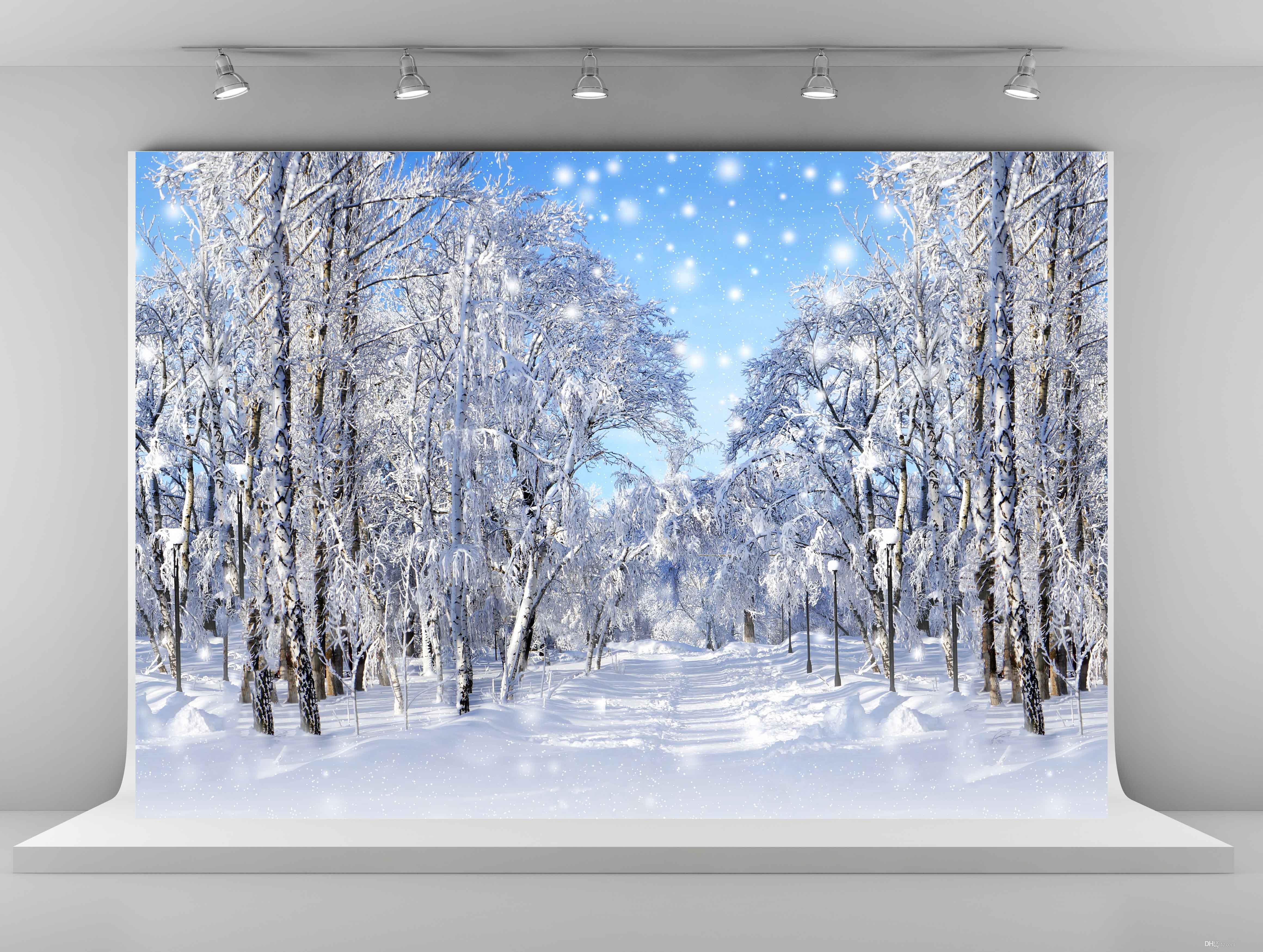 2018 Winter Photography Backdrops Frozen Snow Backgrounds For Photo ...