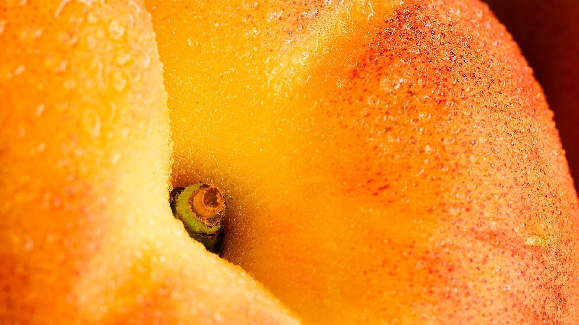 fruit, Closeup Wallpapers HD / Desktop and Mobile Backgrounds