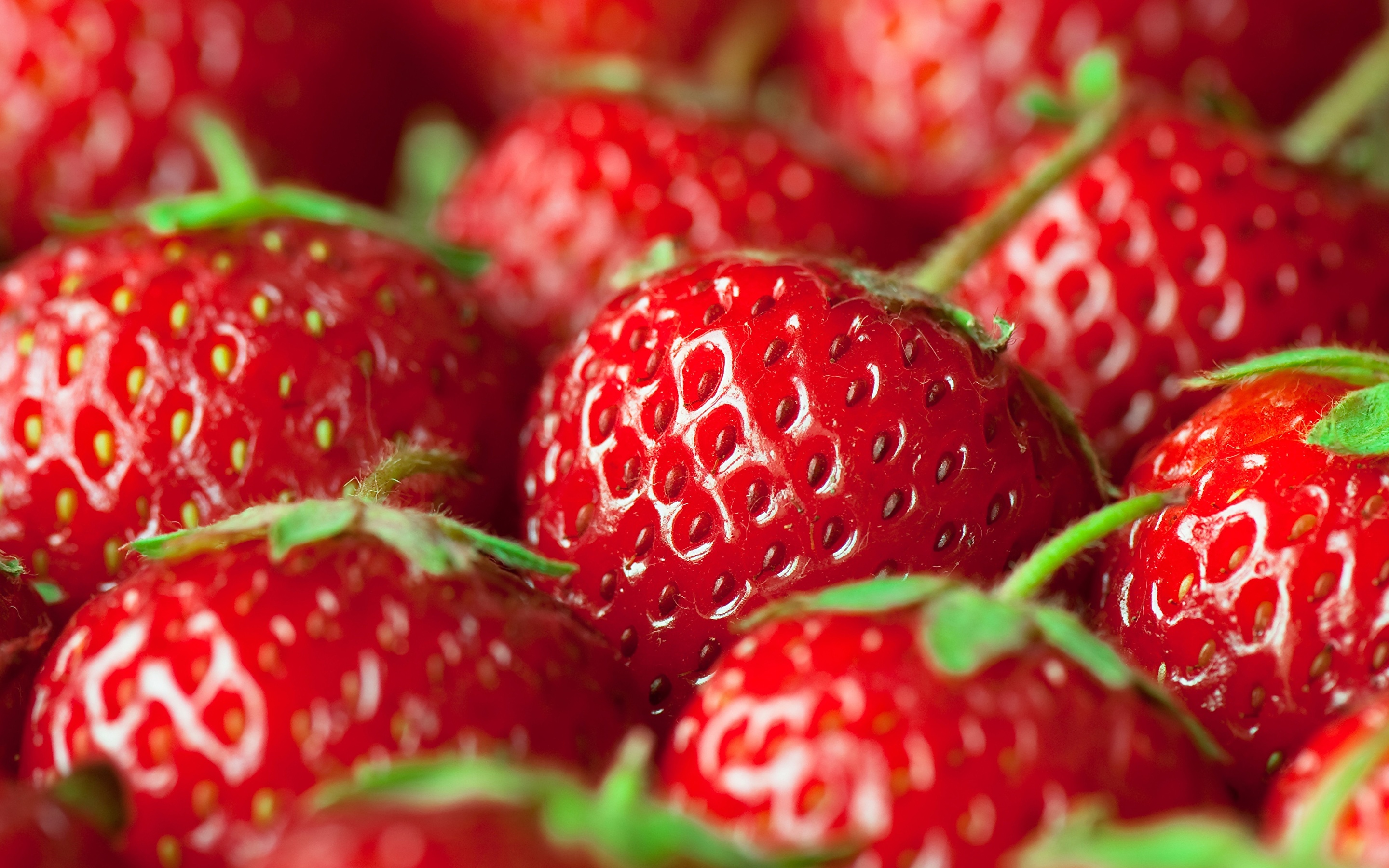 Image Strawberry Food Fruit Many Closeup 2880x1800