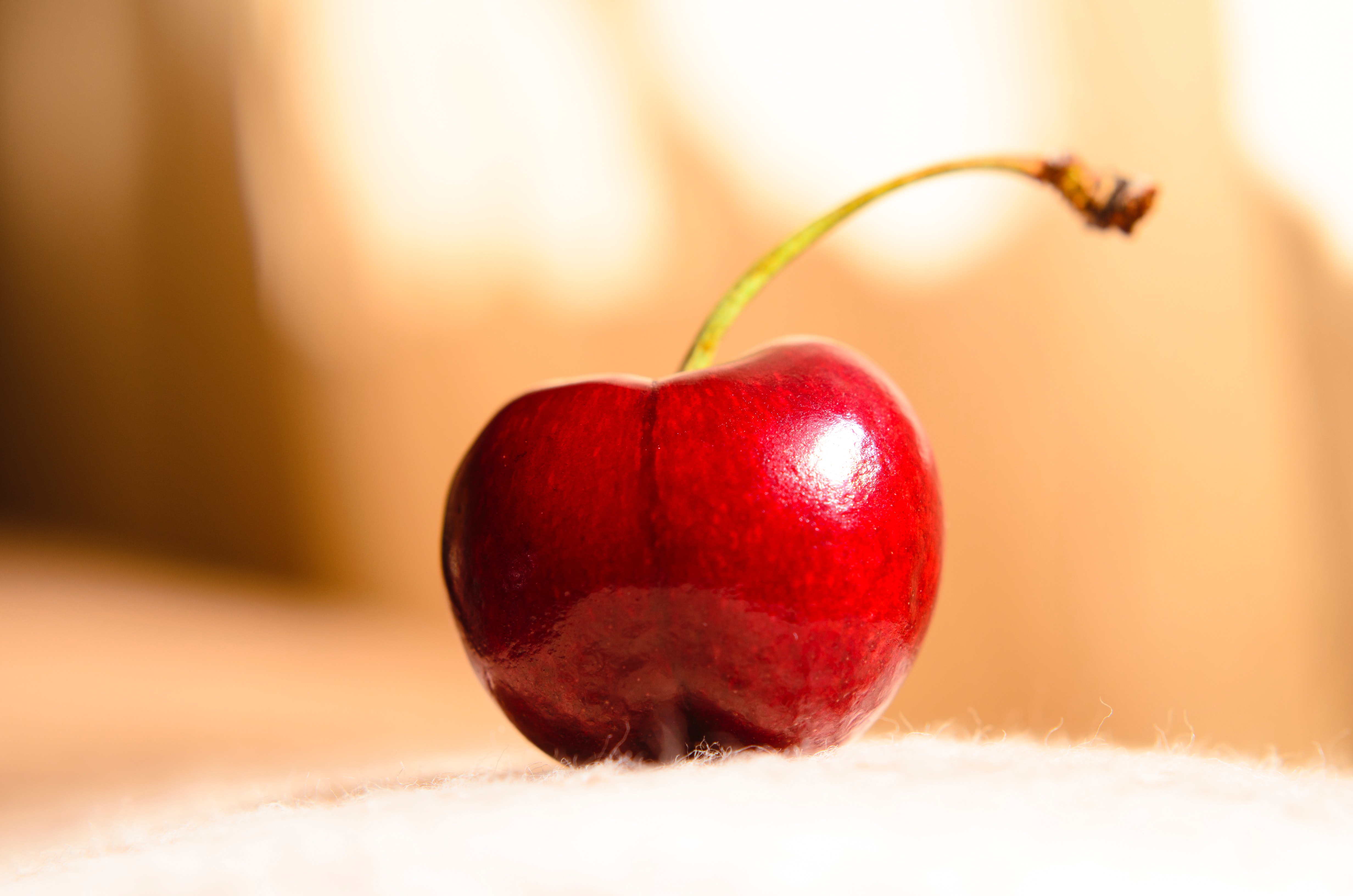 Free stock photo of cherry, closeup, fruit