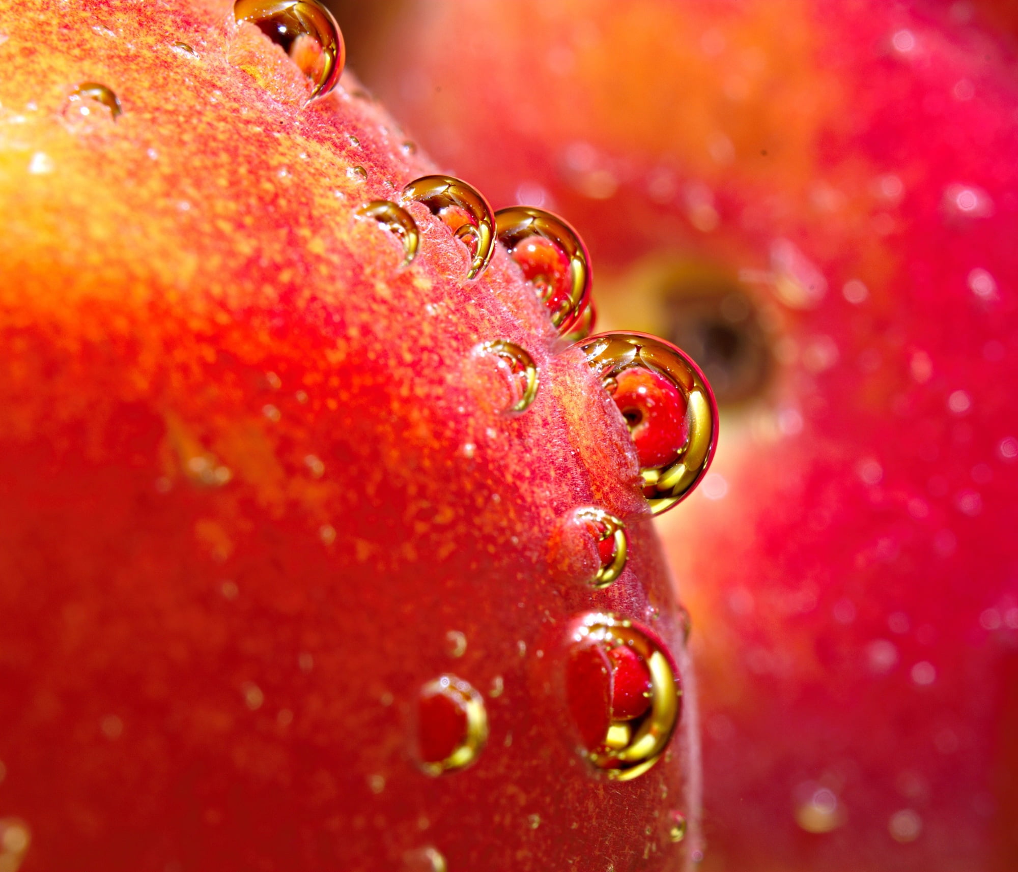 Close up photo of apple fruit HD wallpaper | Wallpaper Flare