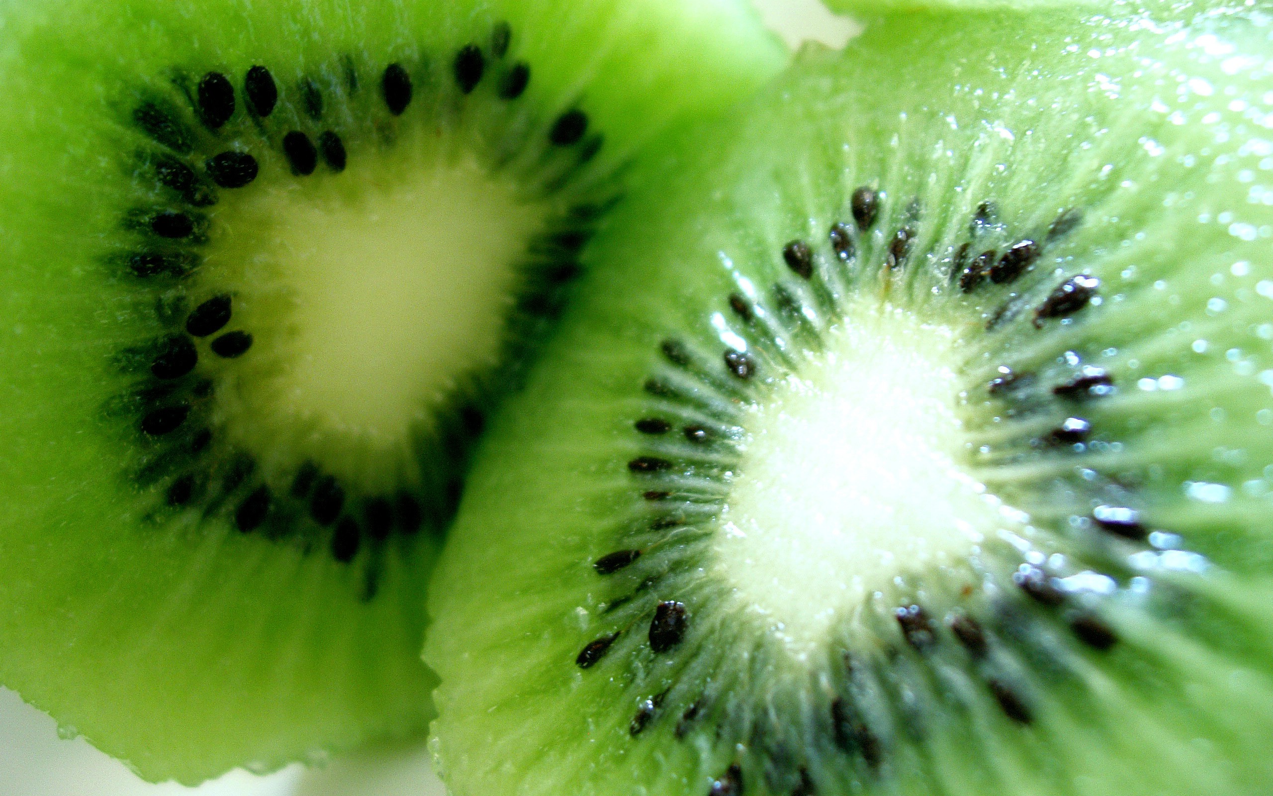 close-up, fruits, food, kiwi - Free Wallpaper / WallpaperJam.com