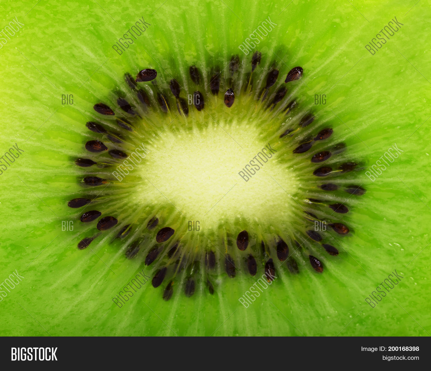 Close Kiwi Texture Kiwi Fruit Macro Image & Photo | Bigstock