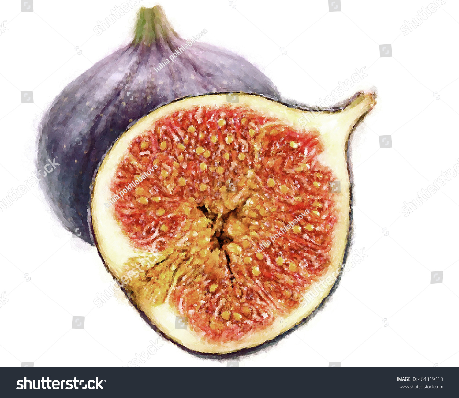 Fig Fresh Fruit Closeup Isolated On Stock Illustration 464319410 ...
