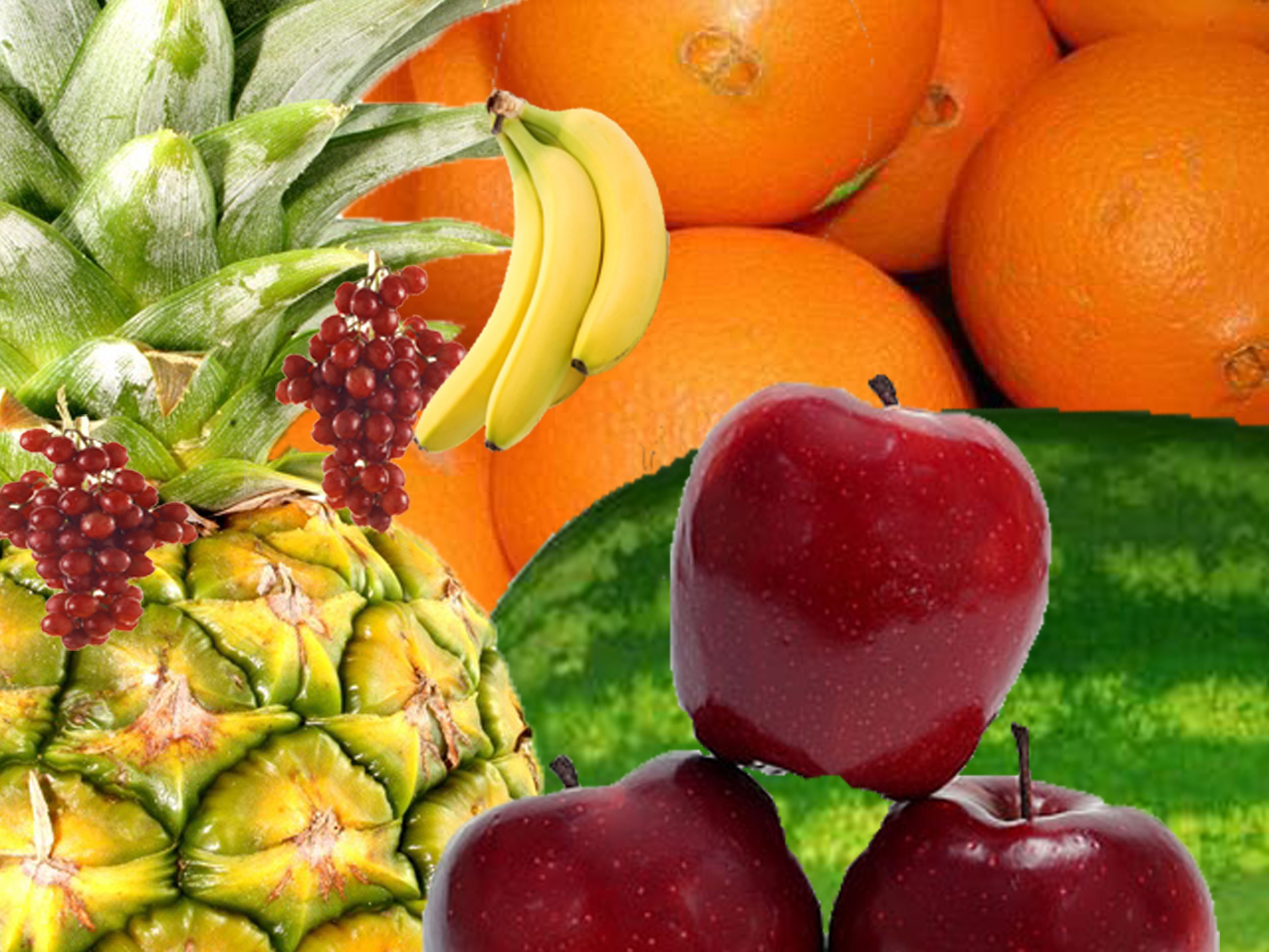 Fruit Collage - Creative Outlook Magazine