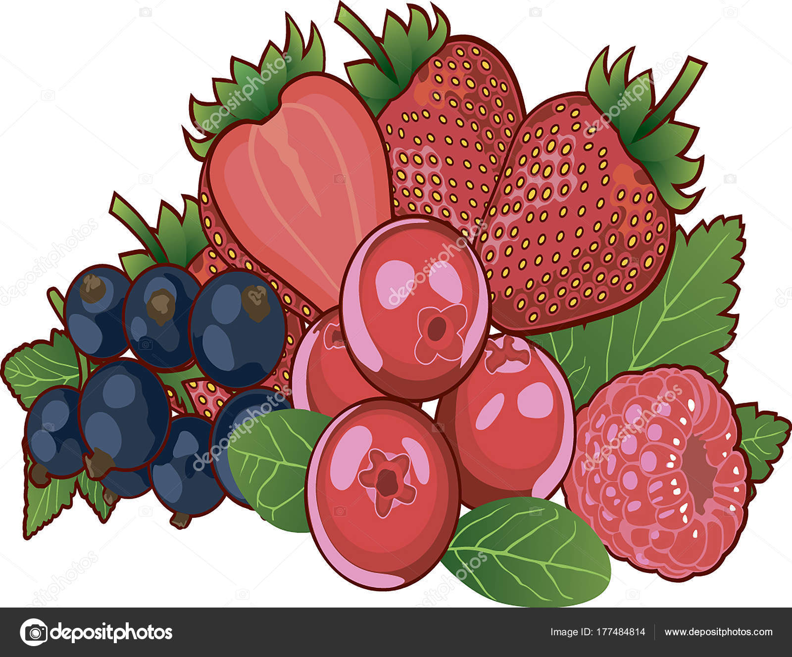 Fruit collage four berry — Stock Vector © shashenkov #177484814