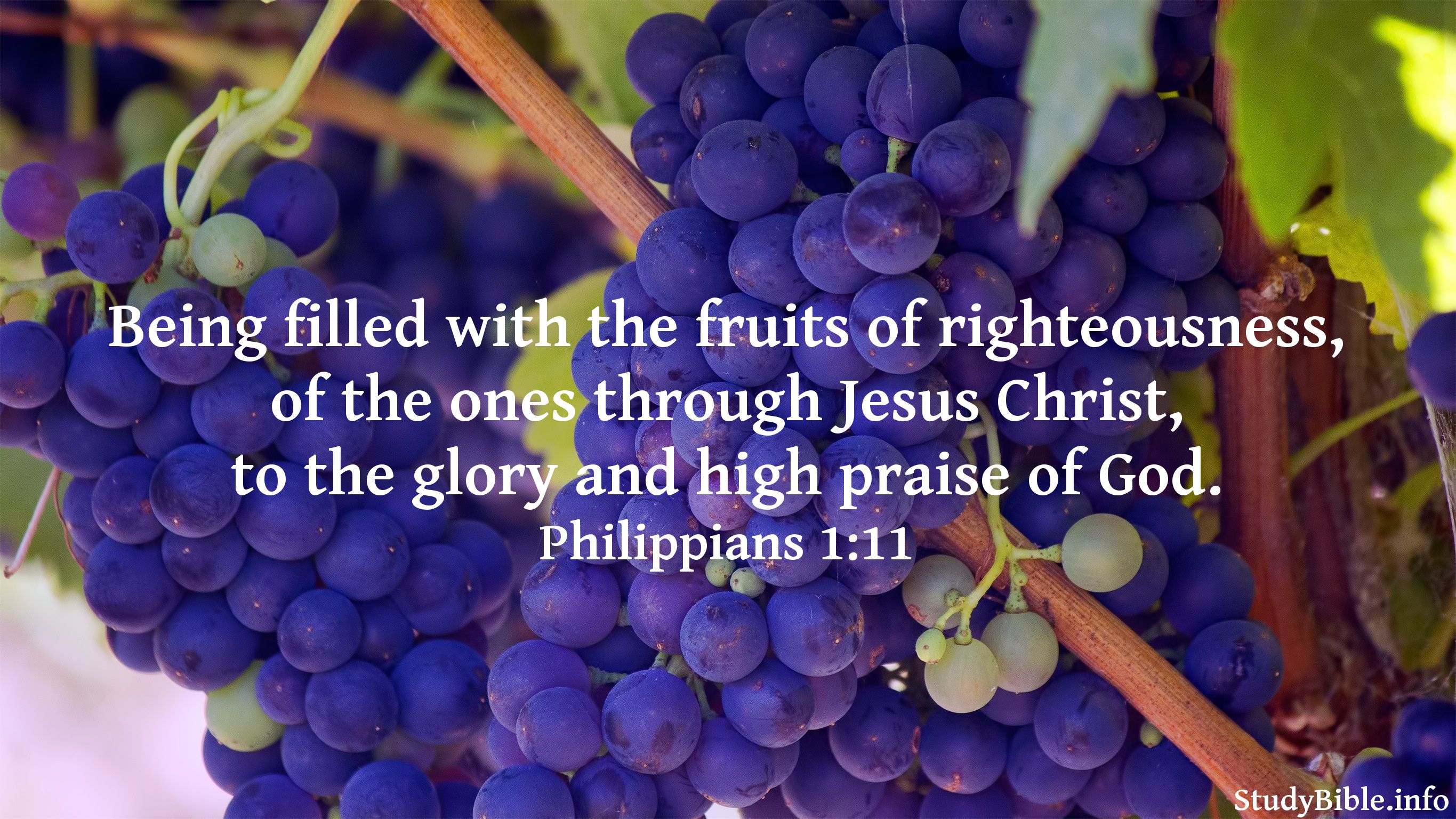 Being filled with the fruits of righteousness, of the ones through ...