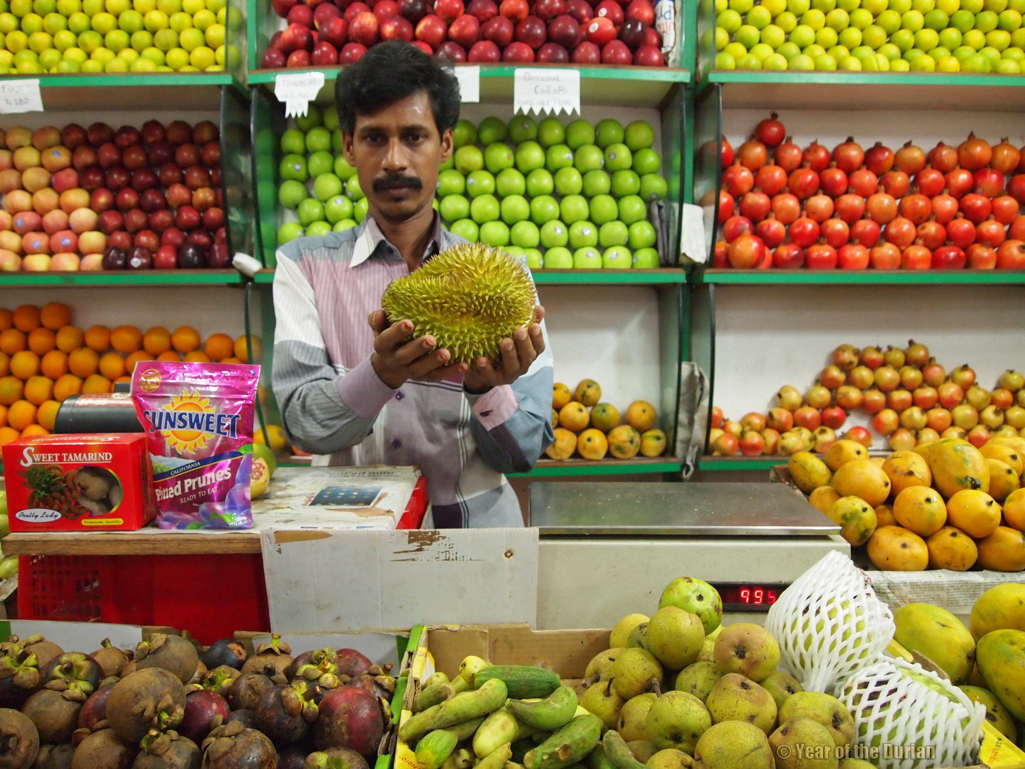 Fruit seller photo