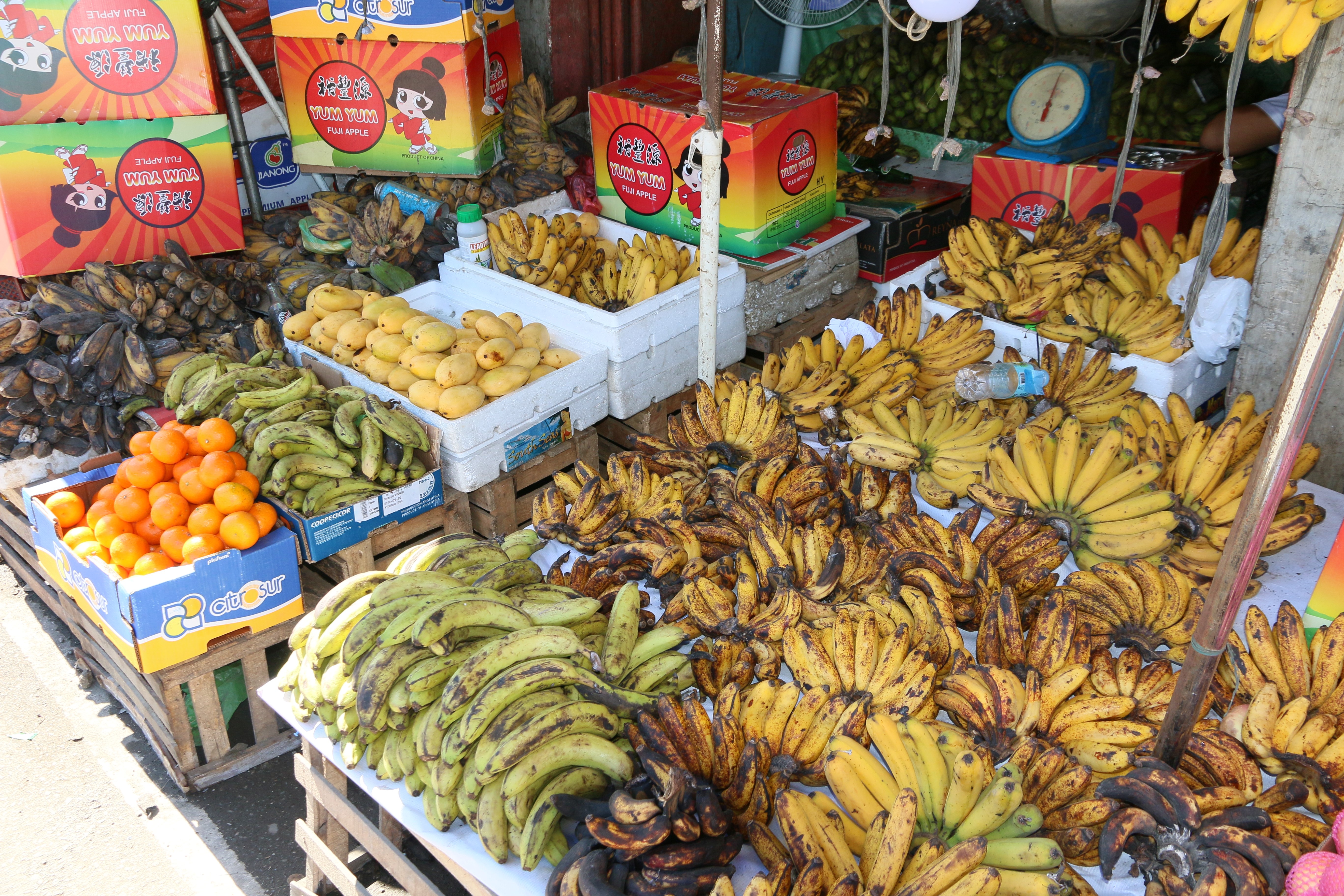 File:Fruit shop in Talisay, Cebu 2017.jpg - Wikimedia Commons