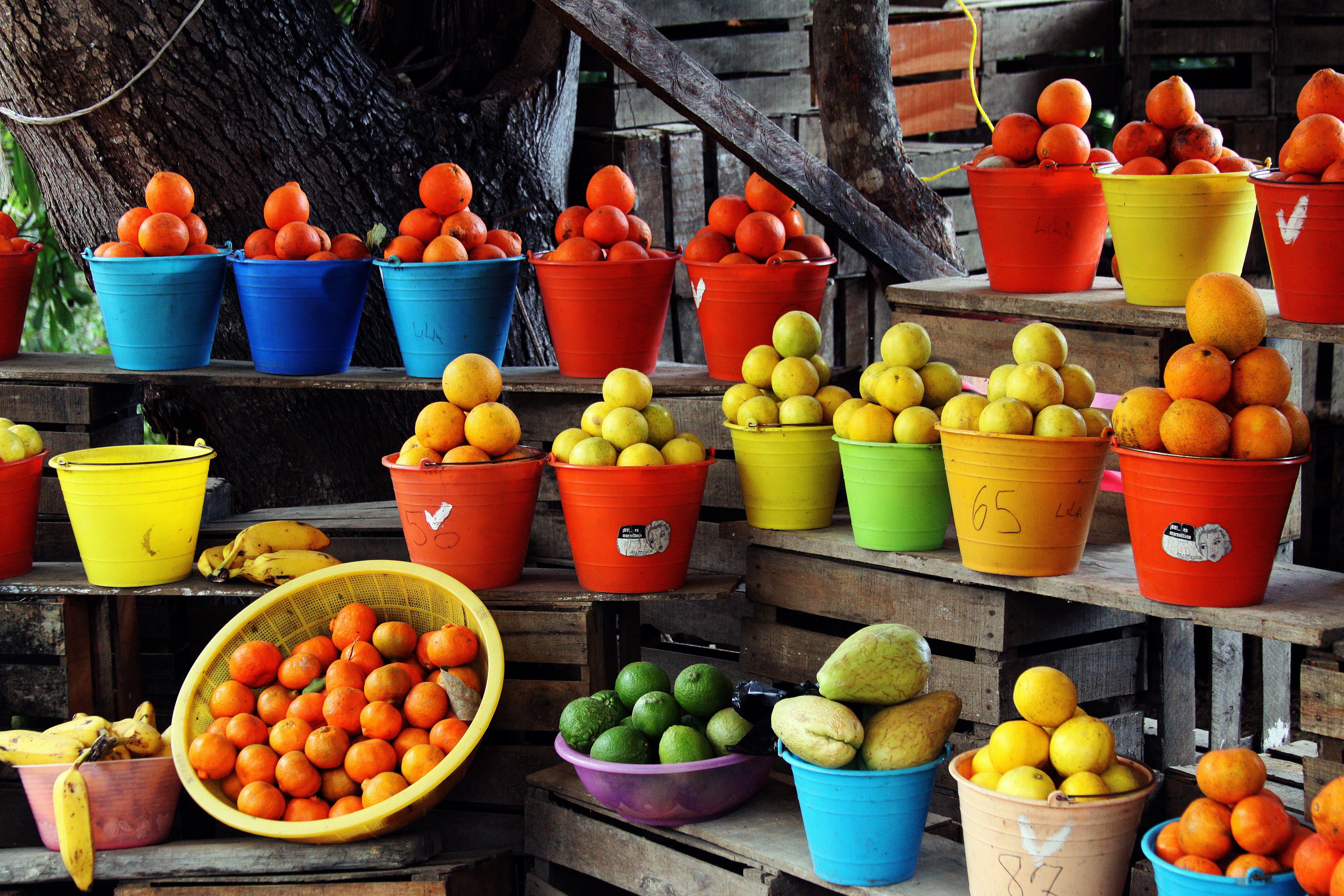 File:Tepic fruit stand.jpg - Wikimedia Commons
