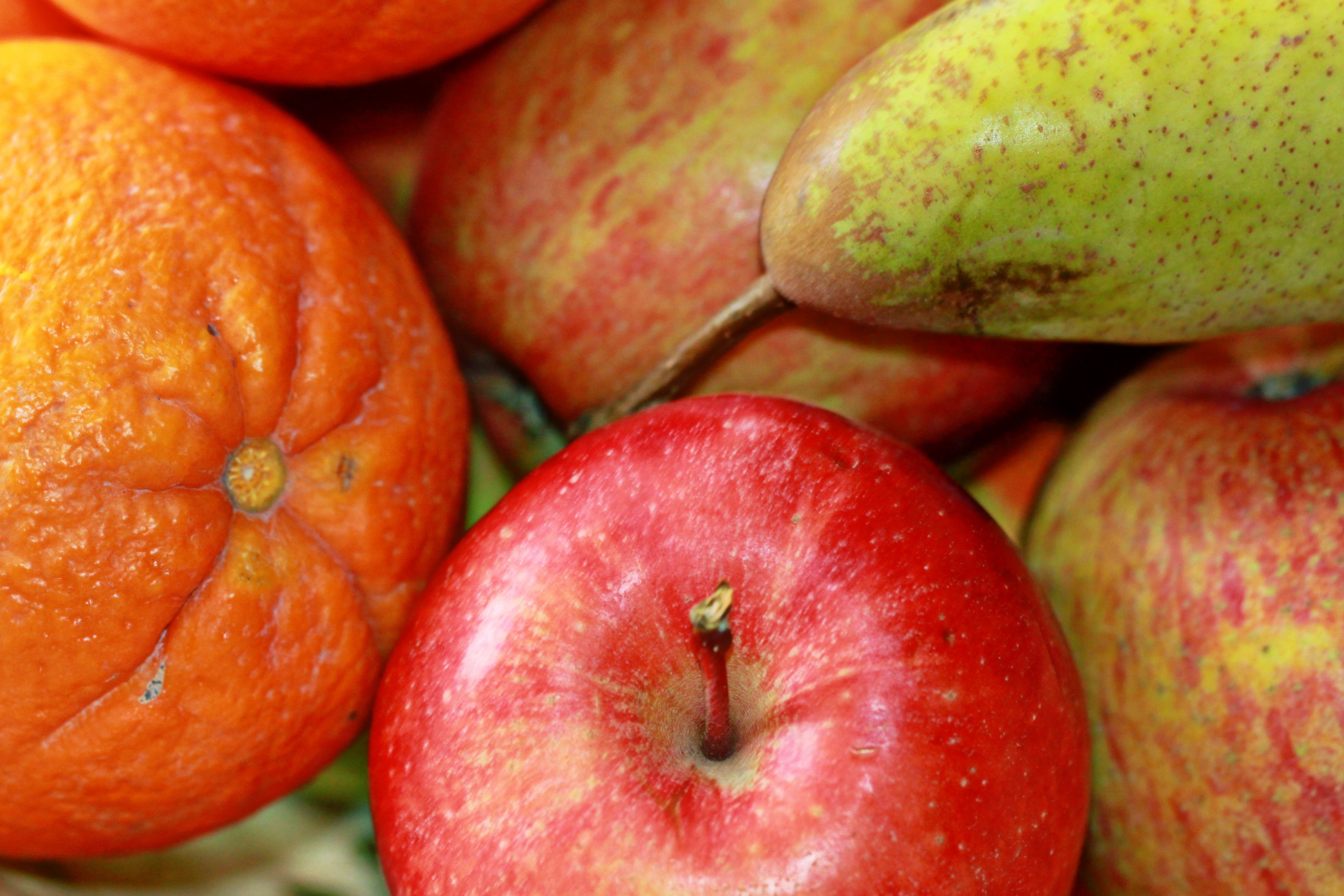 Яблоко фрукт или овощ. Спелые фрукты. Фрукты крупным планом. Крупные фрукты. Яблоко груша апельсин.