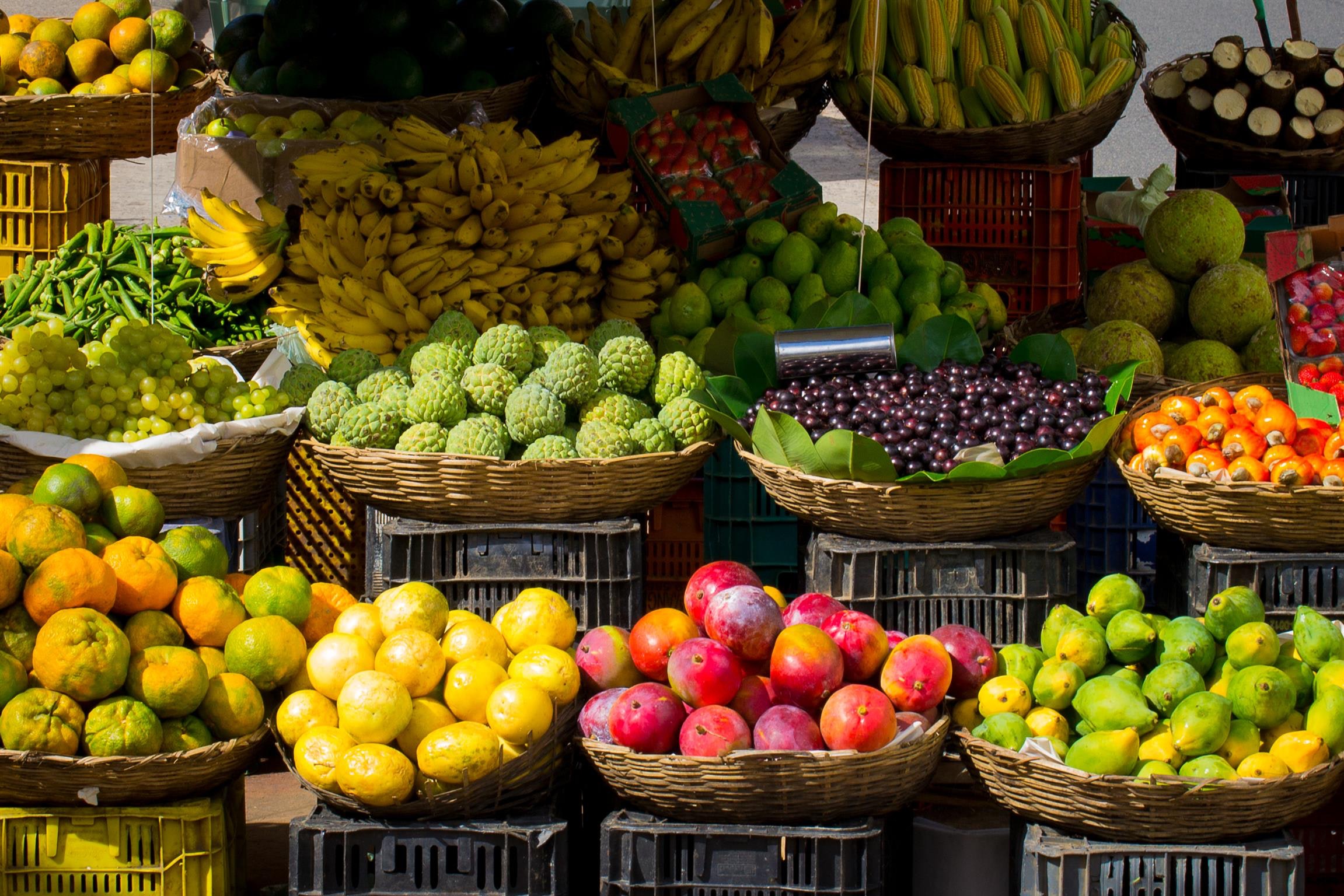 Free stock photo of fruits, market, sale