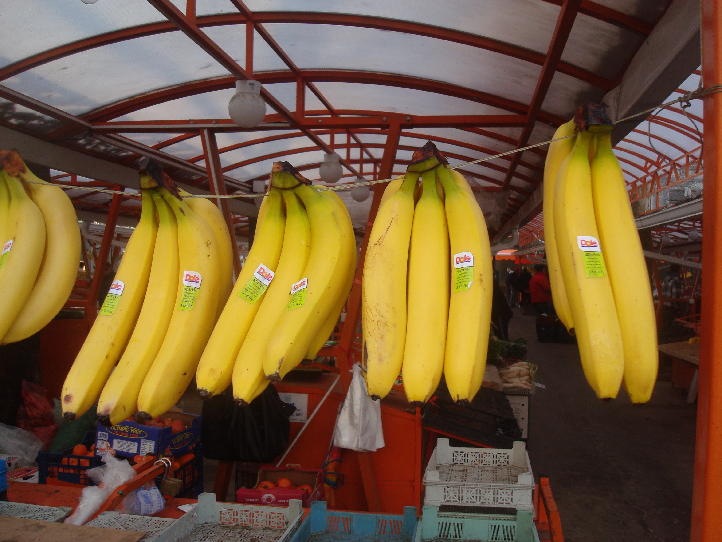 Fruits market photo