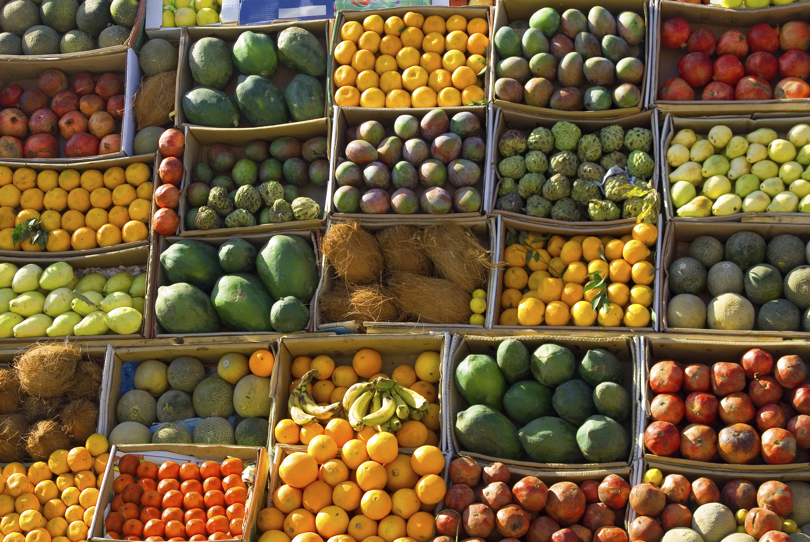 Fruits street market | Global Trade Review (GTR)