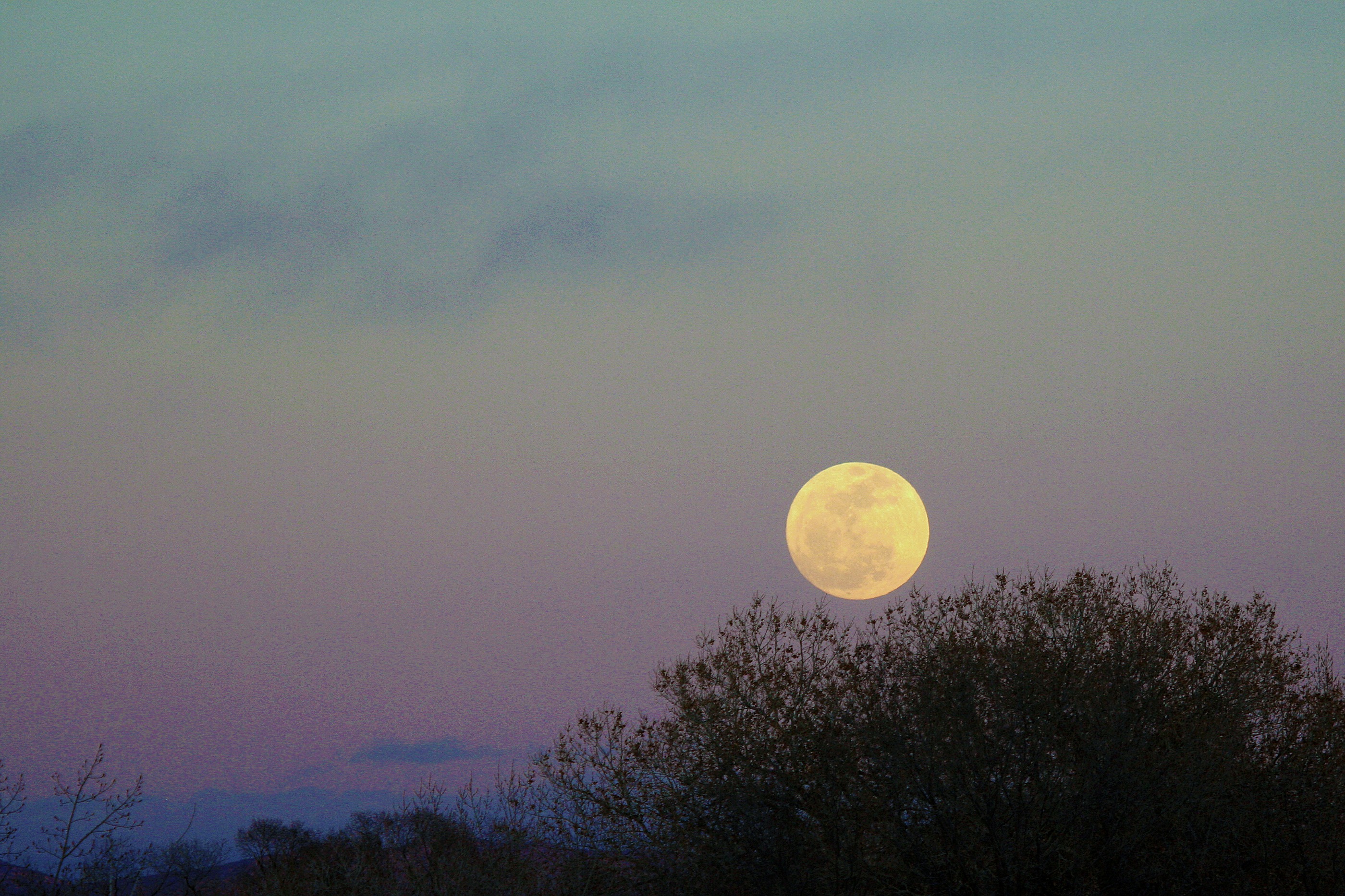 Full moon rising | Morning Bray Farm