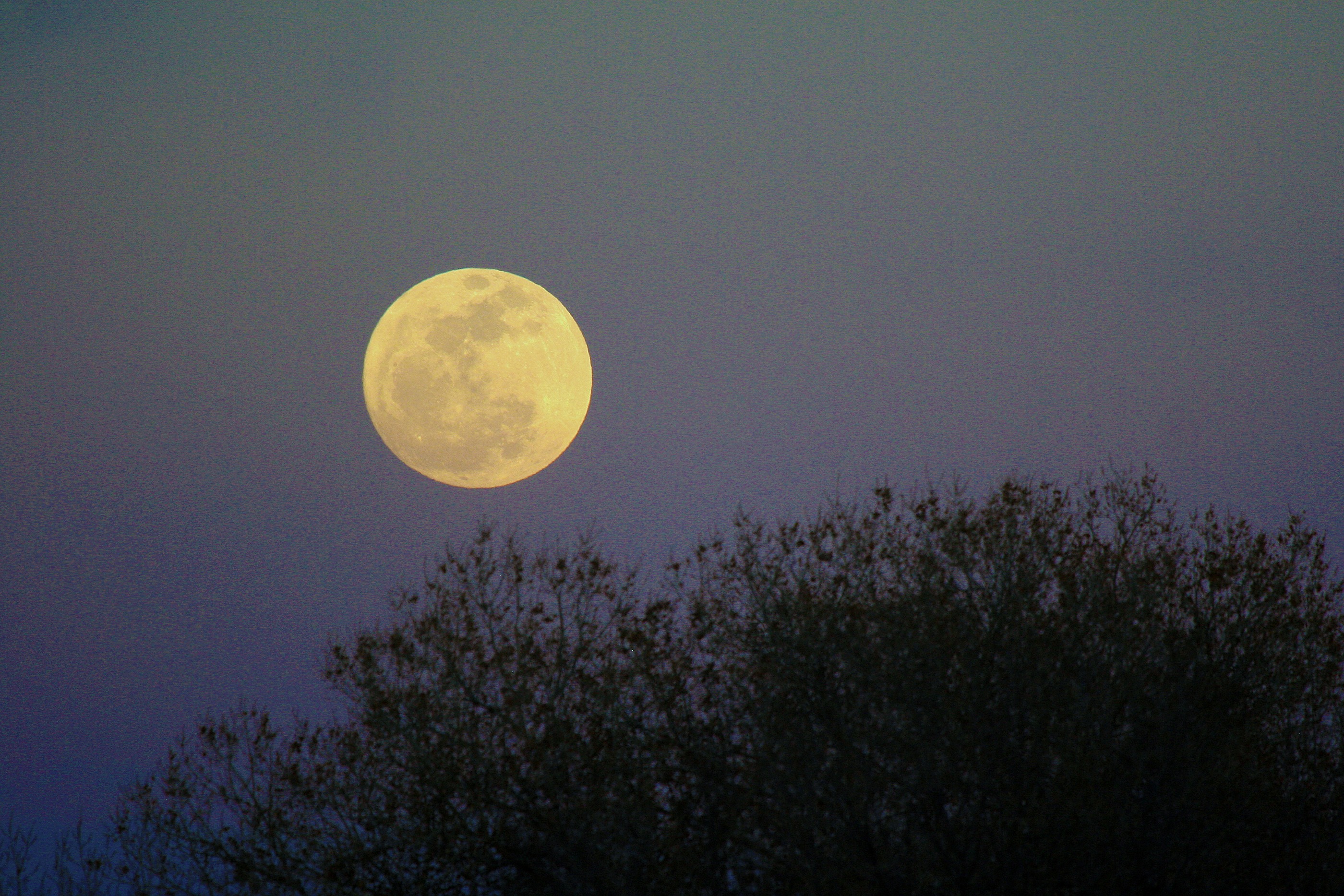 Full moon rising | Morning Bray Farm