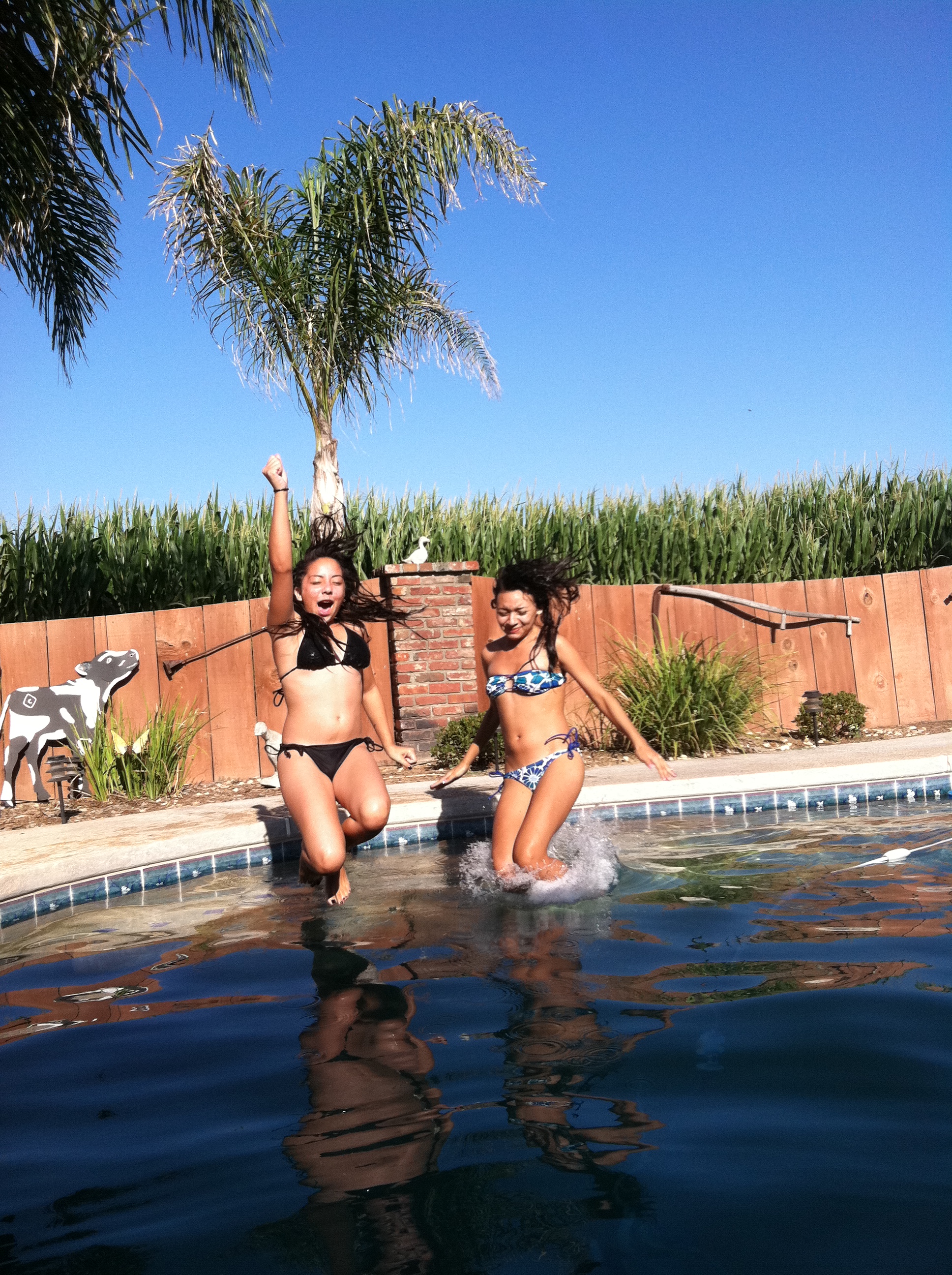 Fun at the pool, Bathing, Friends, Fun, Girls, HQ Photo