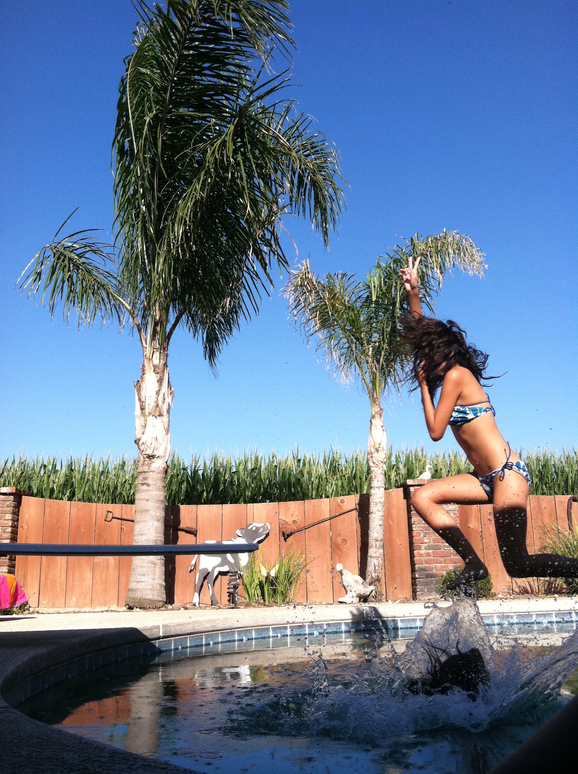 Fun at the pool, Bathing, Friends, Fun, Girls, HQ Photo