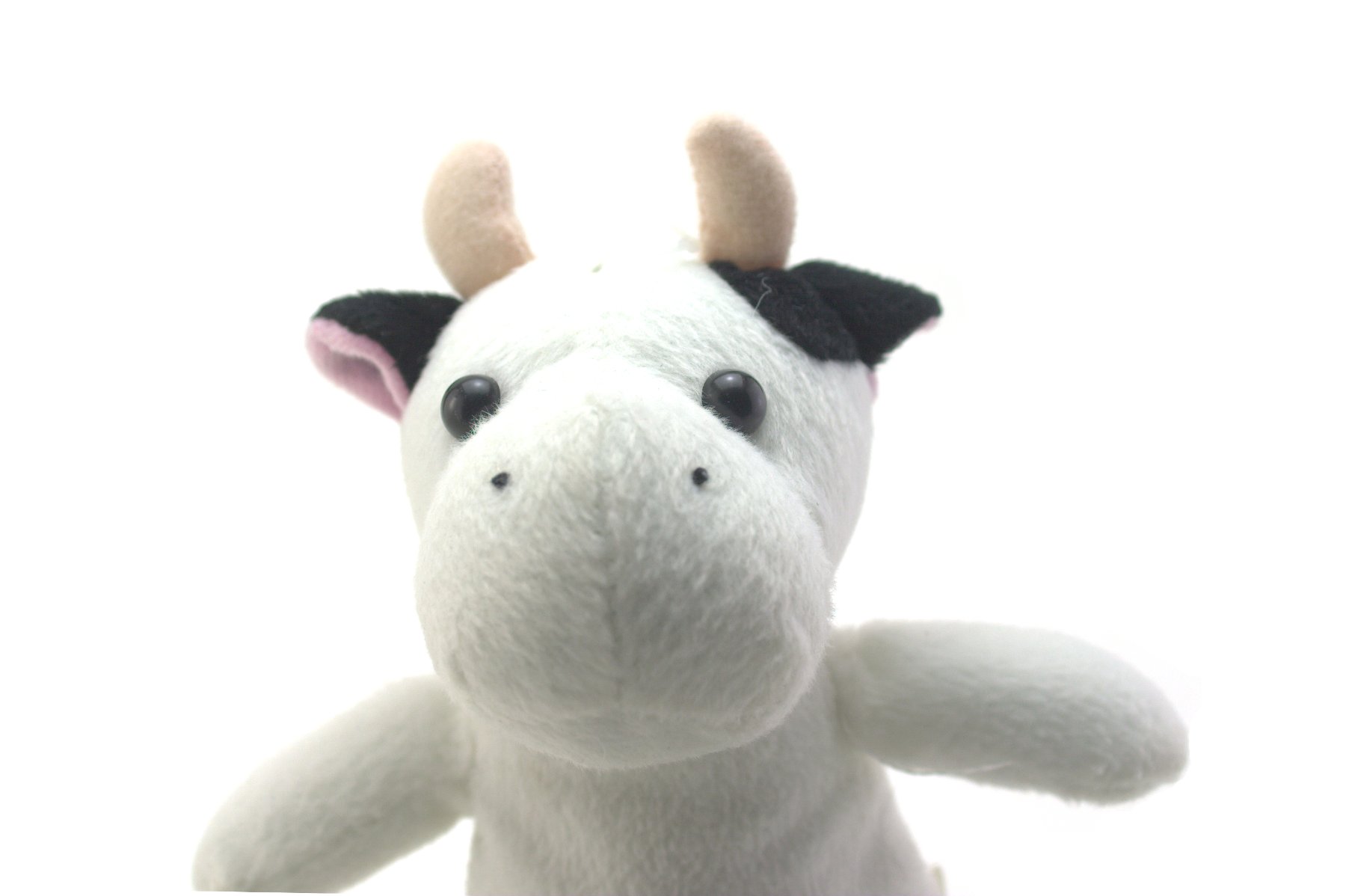 Funny cow toy, Agricultural, Obedient, Isolated, Joy, HQ Photo