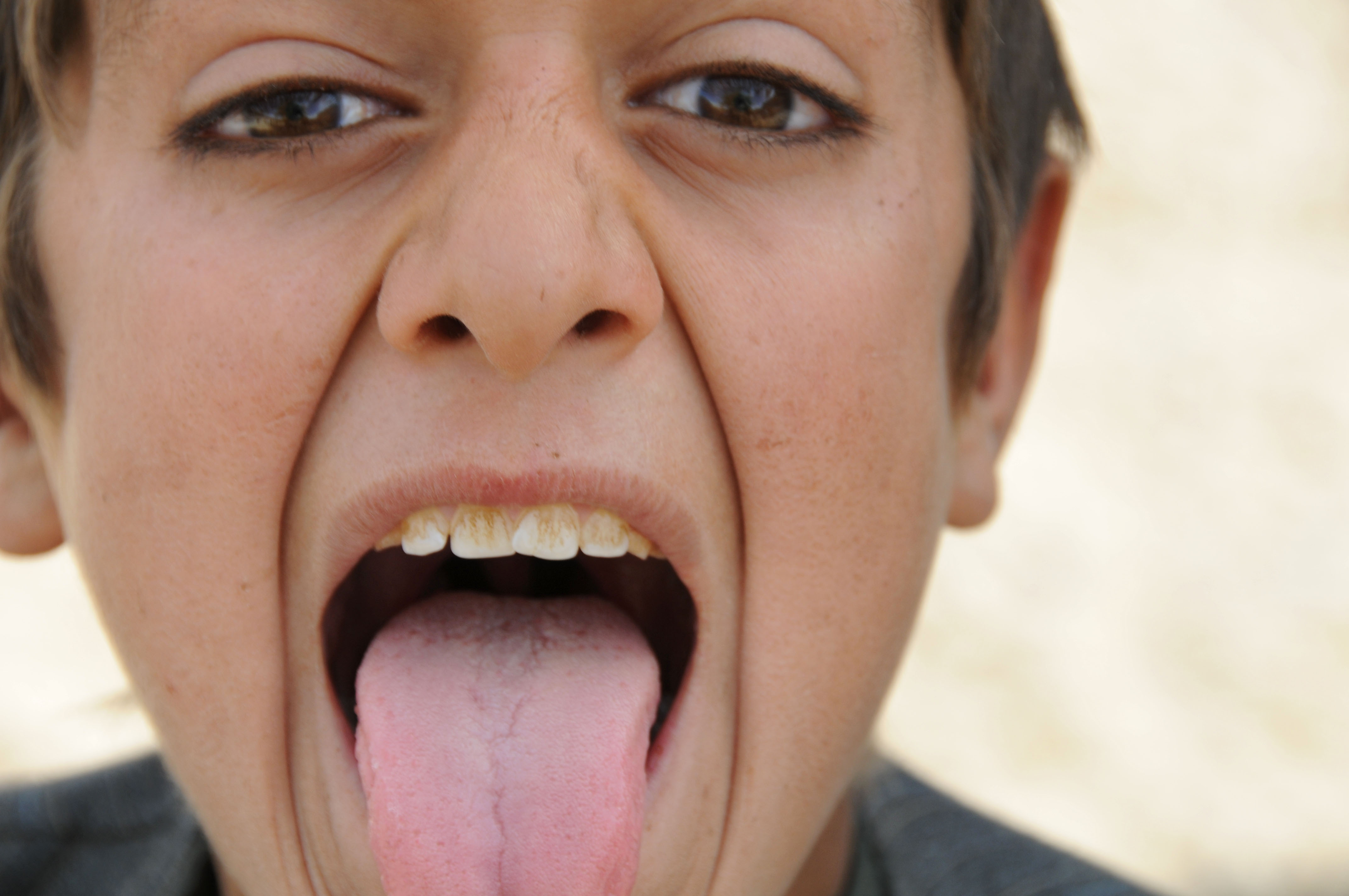 File:Funny Face (4272046693).jpg - Wikimedia Commons
