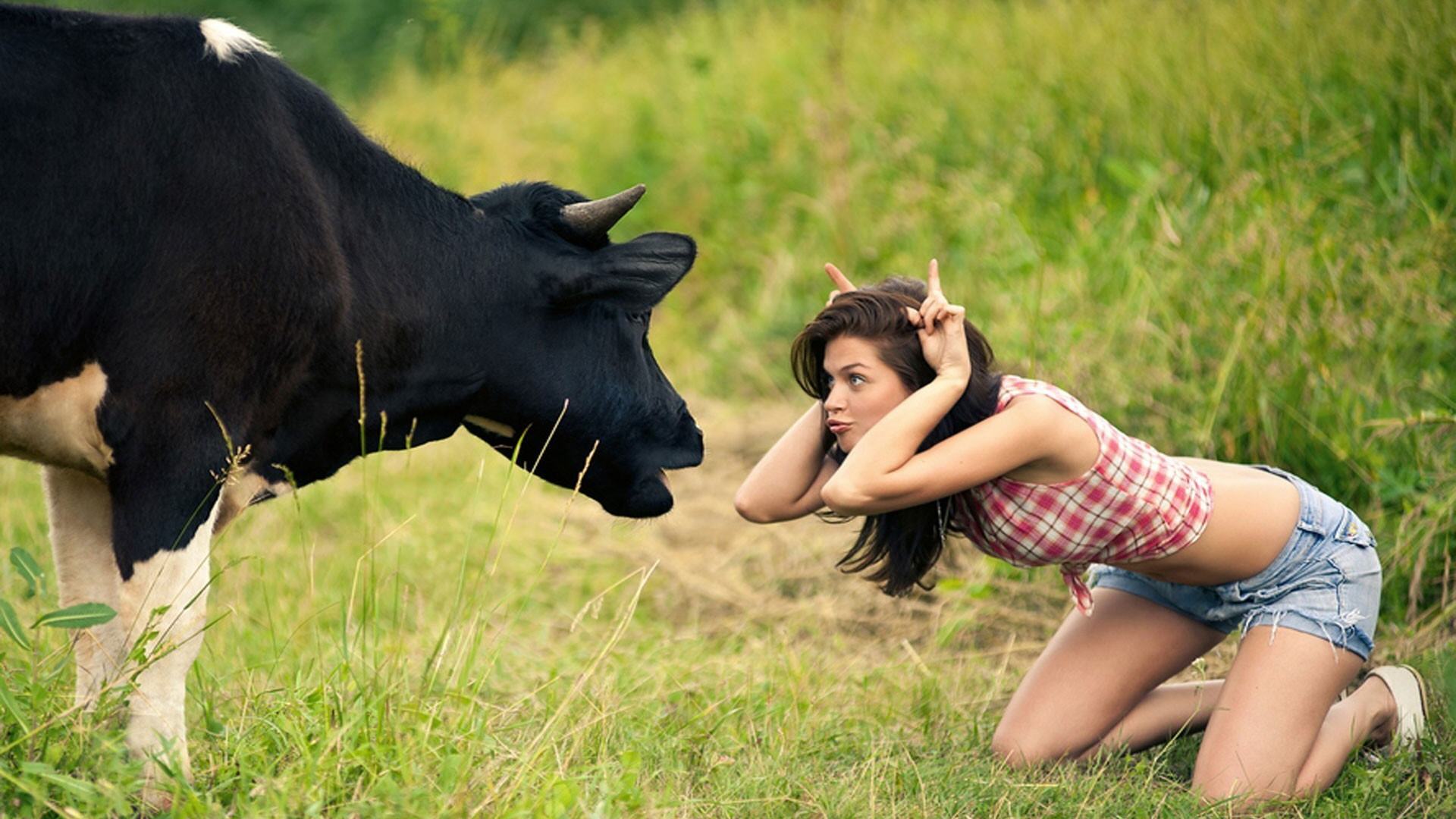 Funny Girl Wallpaper With Bull HD wallpapers at GetHDPic.com