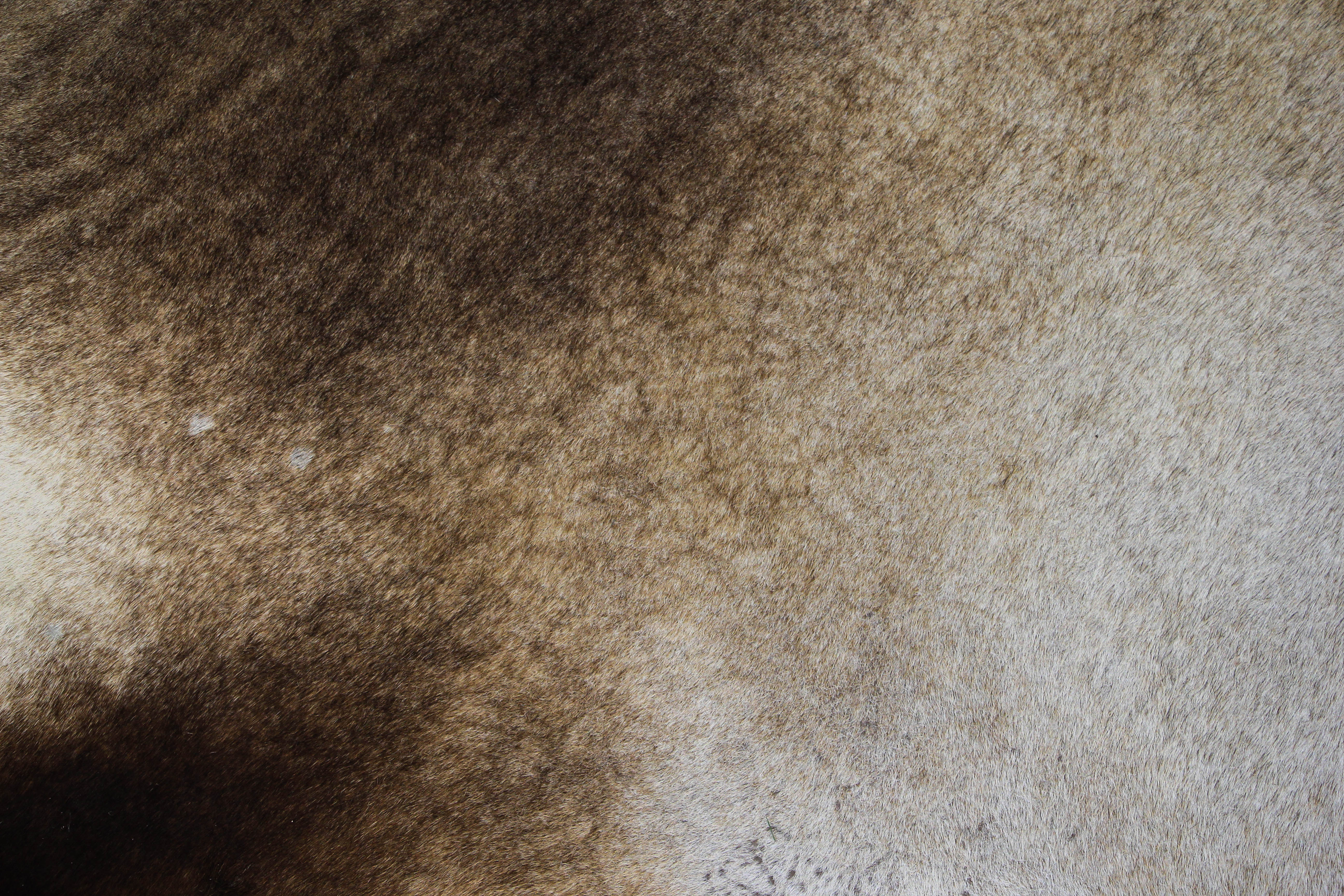 grunge photo texture antelope fur furry floor carpet fuzz fabric ...