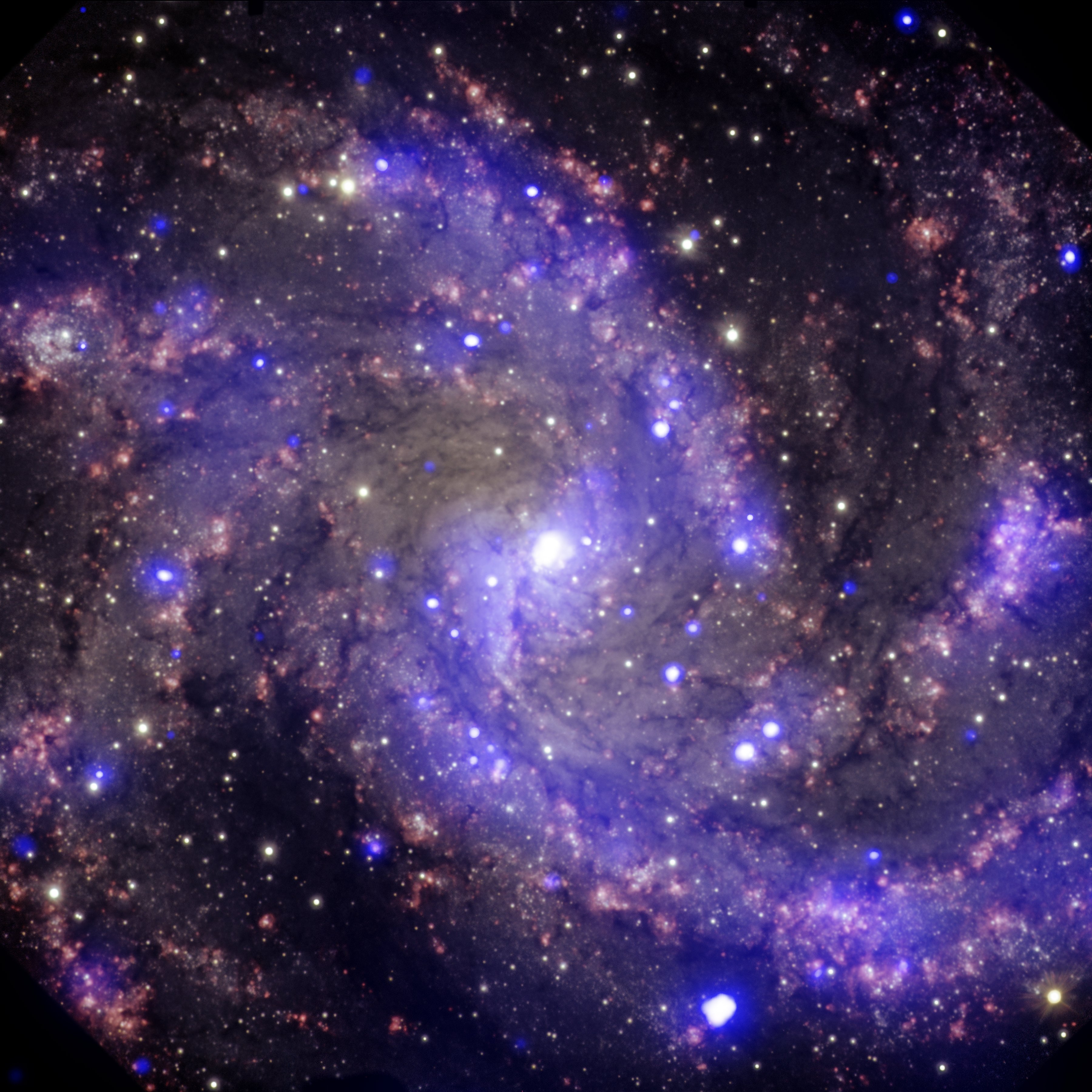 NGC 6946: The 'Fireworks Galaxy' | NASA