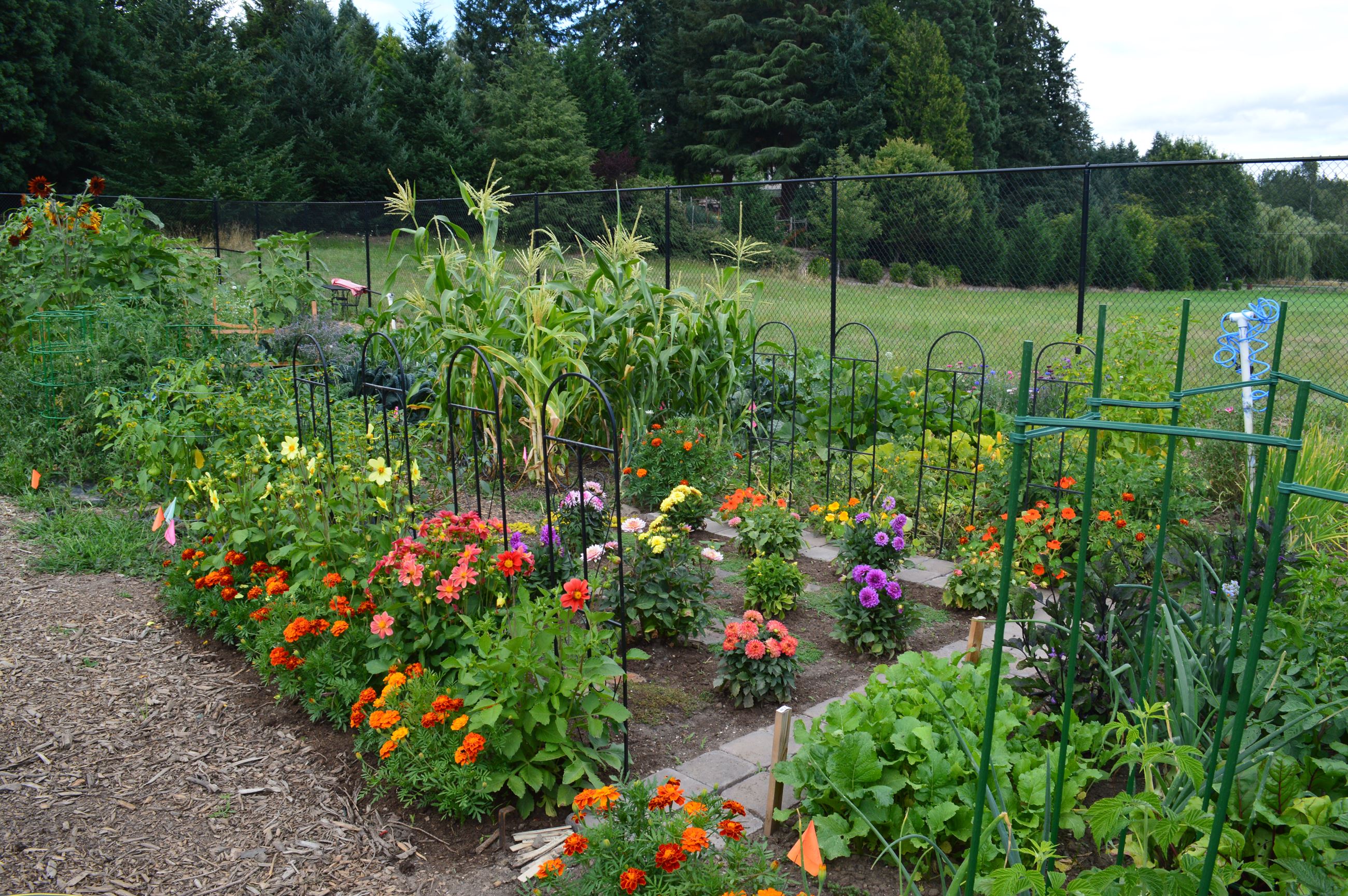 Get The Best Garden Hose For Watering Your Garden - Johnny's Blog