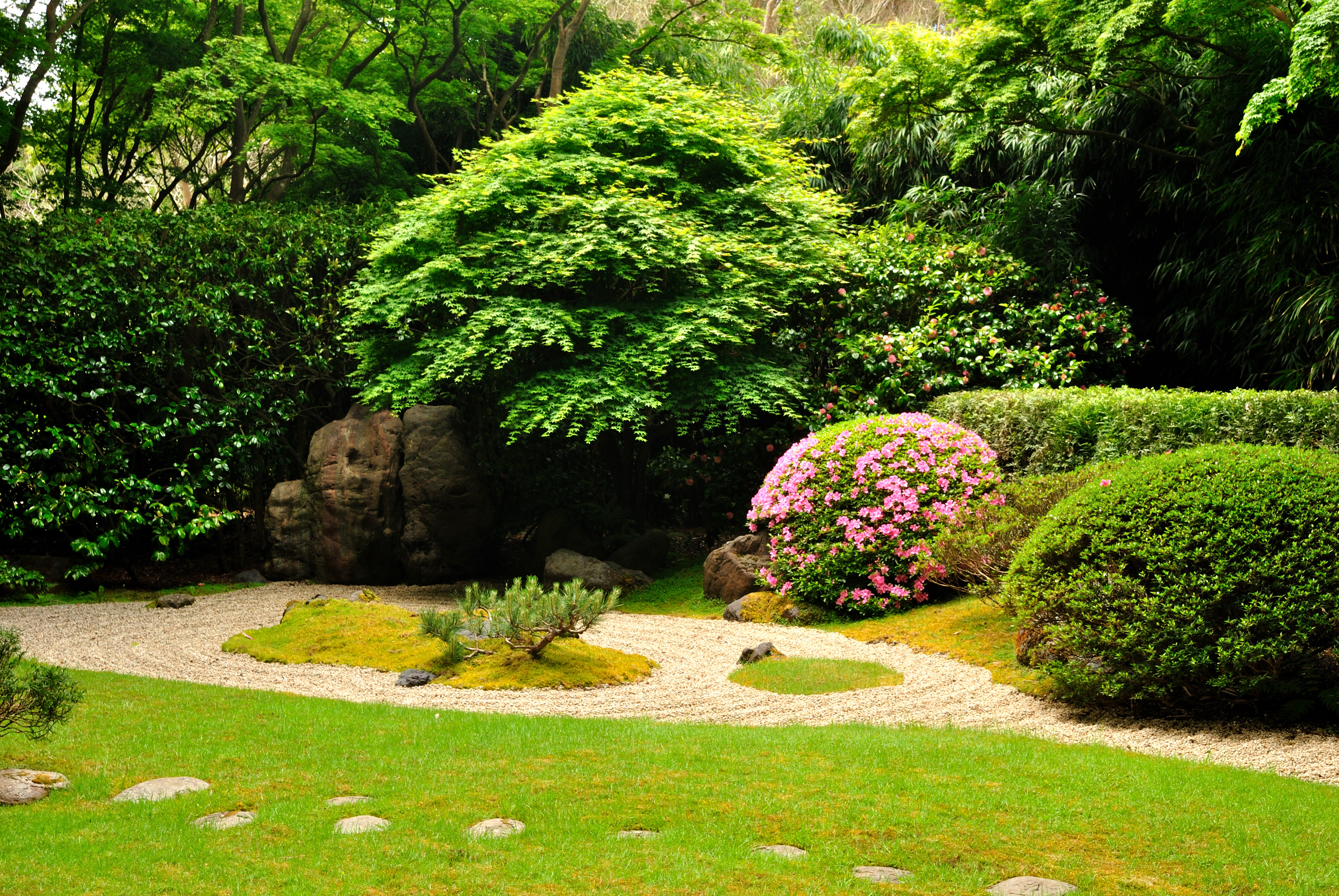 File:Japanese Tea Garden (San Francisco, California).jpg - Wikimedia ...