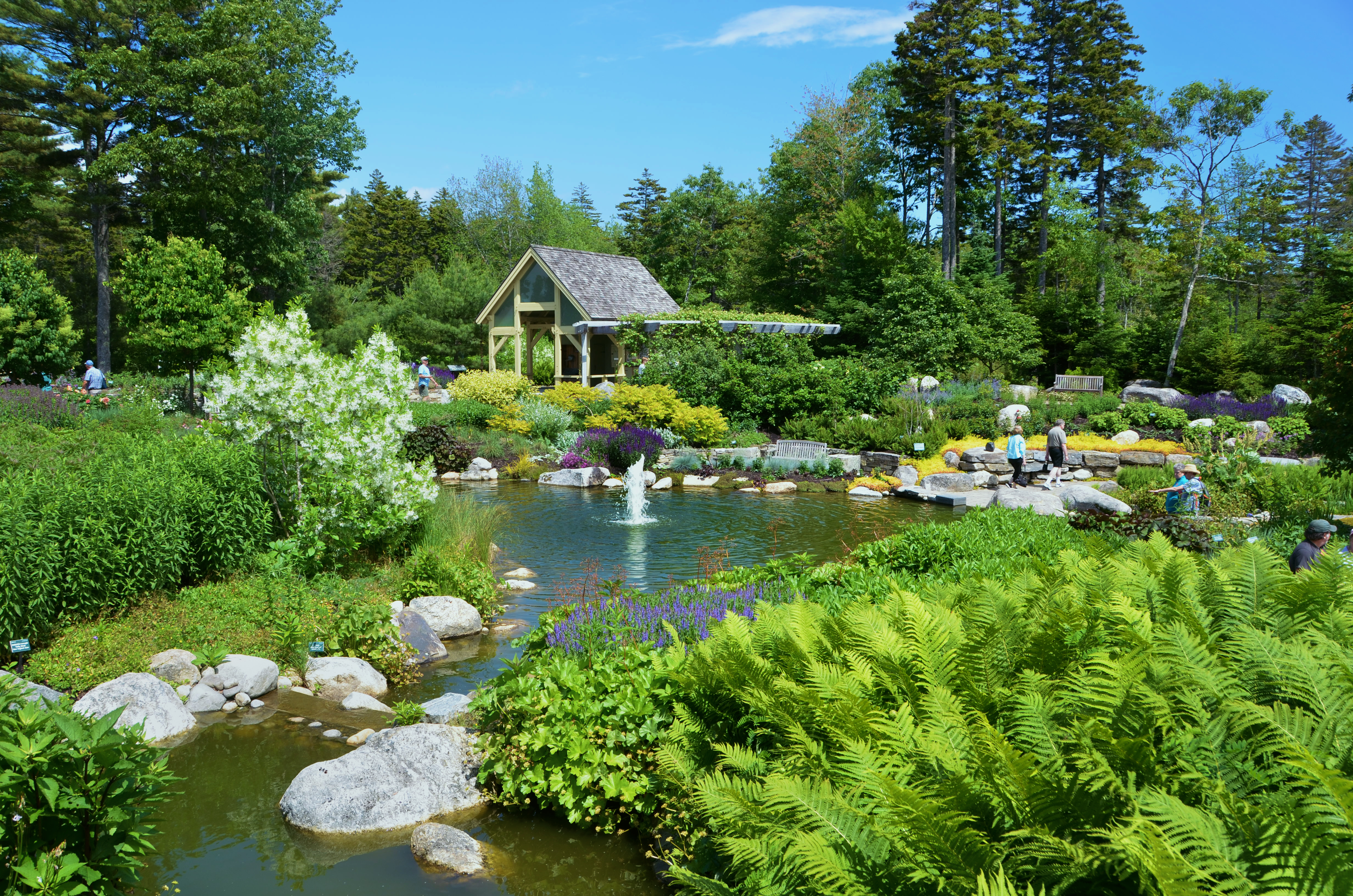Maine's Premier Botanical Garden | Coastal Maine Botanical Gardens