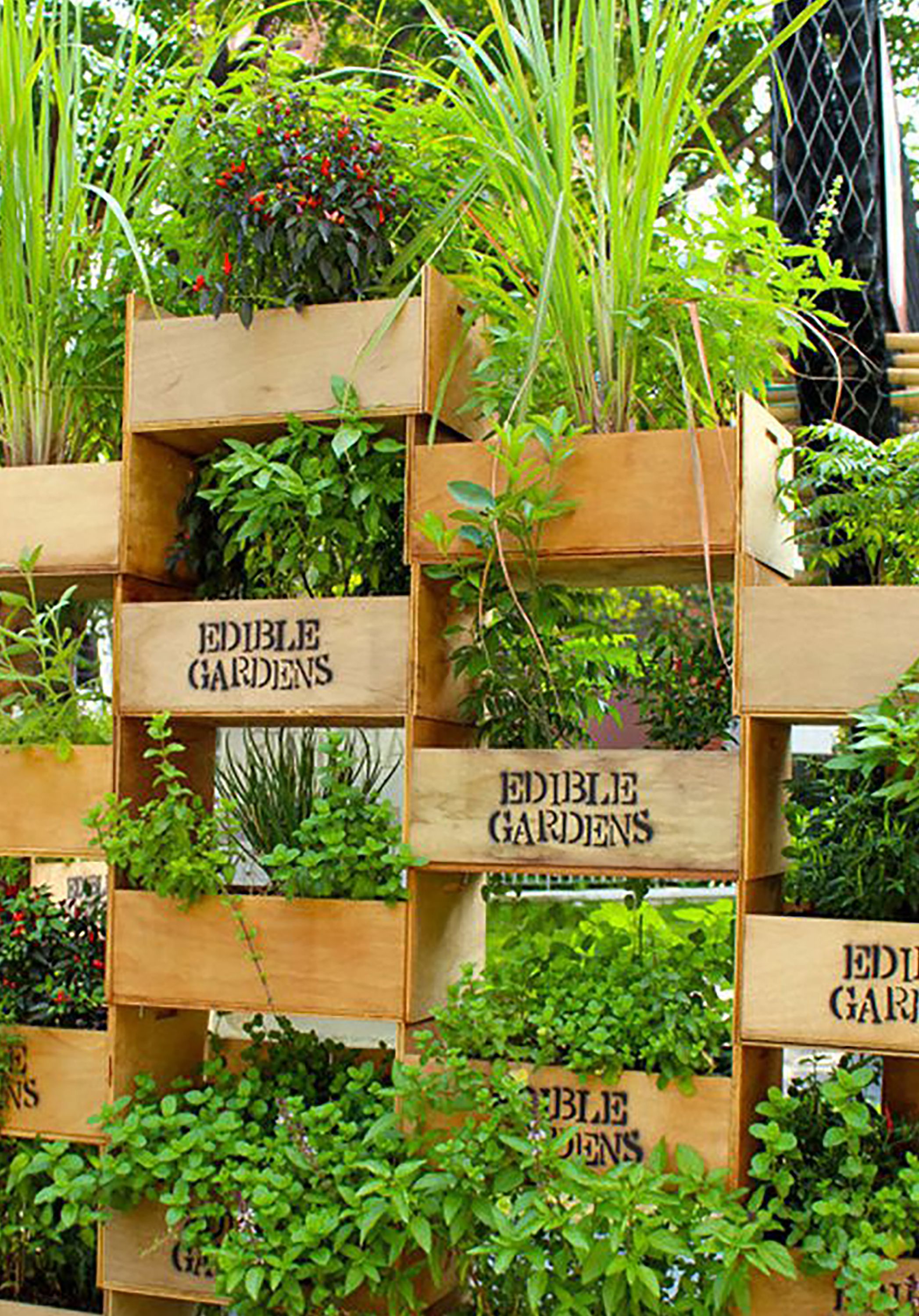 26 Creative Ways to Plant a Vertical Garden - How To Make a Vertical ...