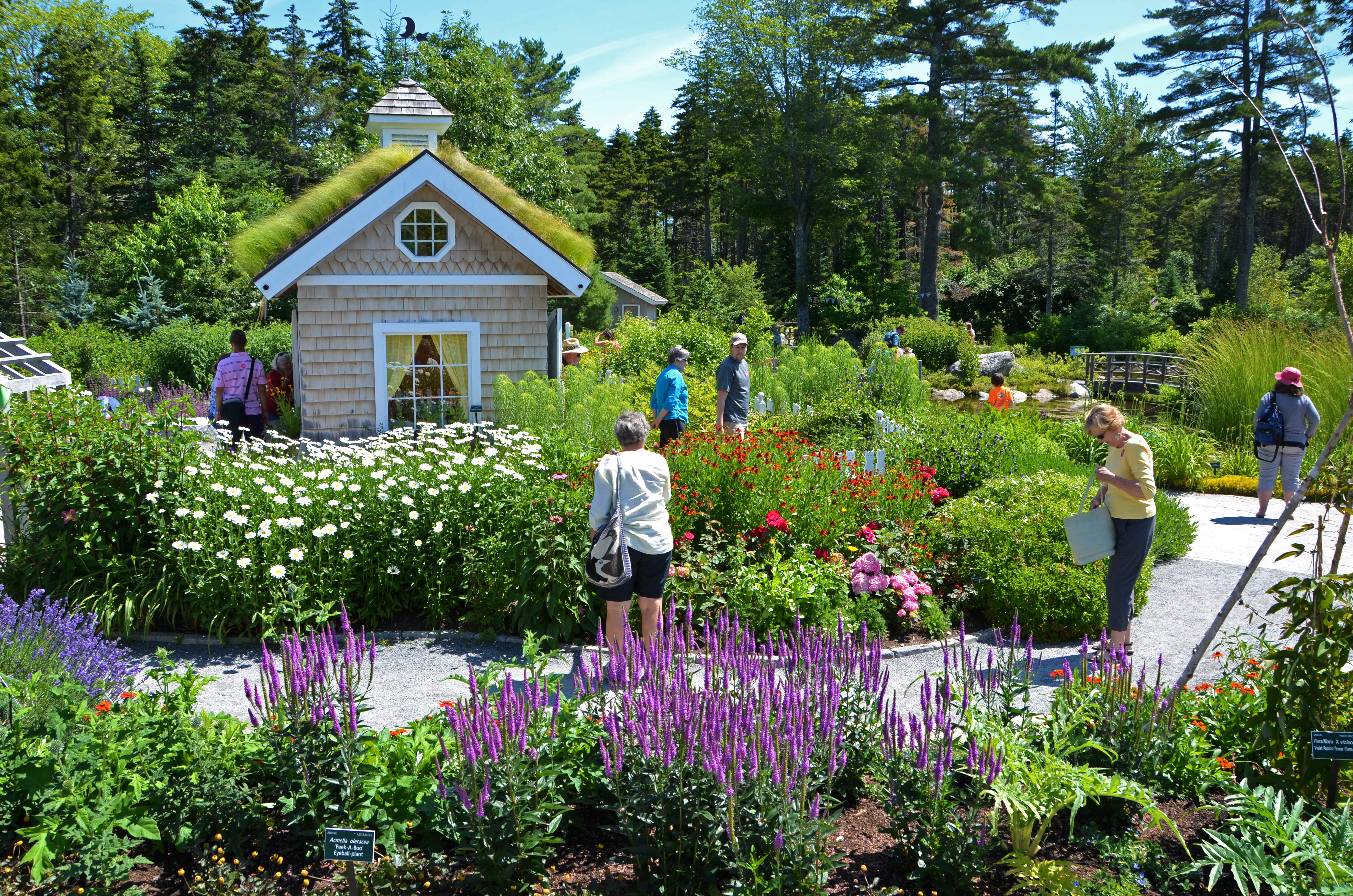 Maine's Premier Botanical Garden | Coastal Maine Botanical Gardens