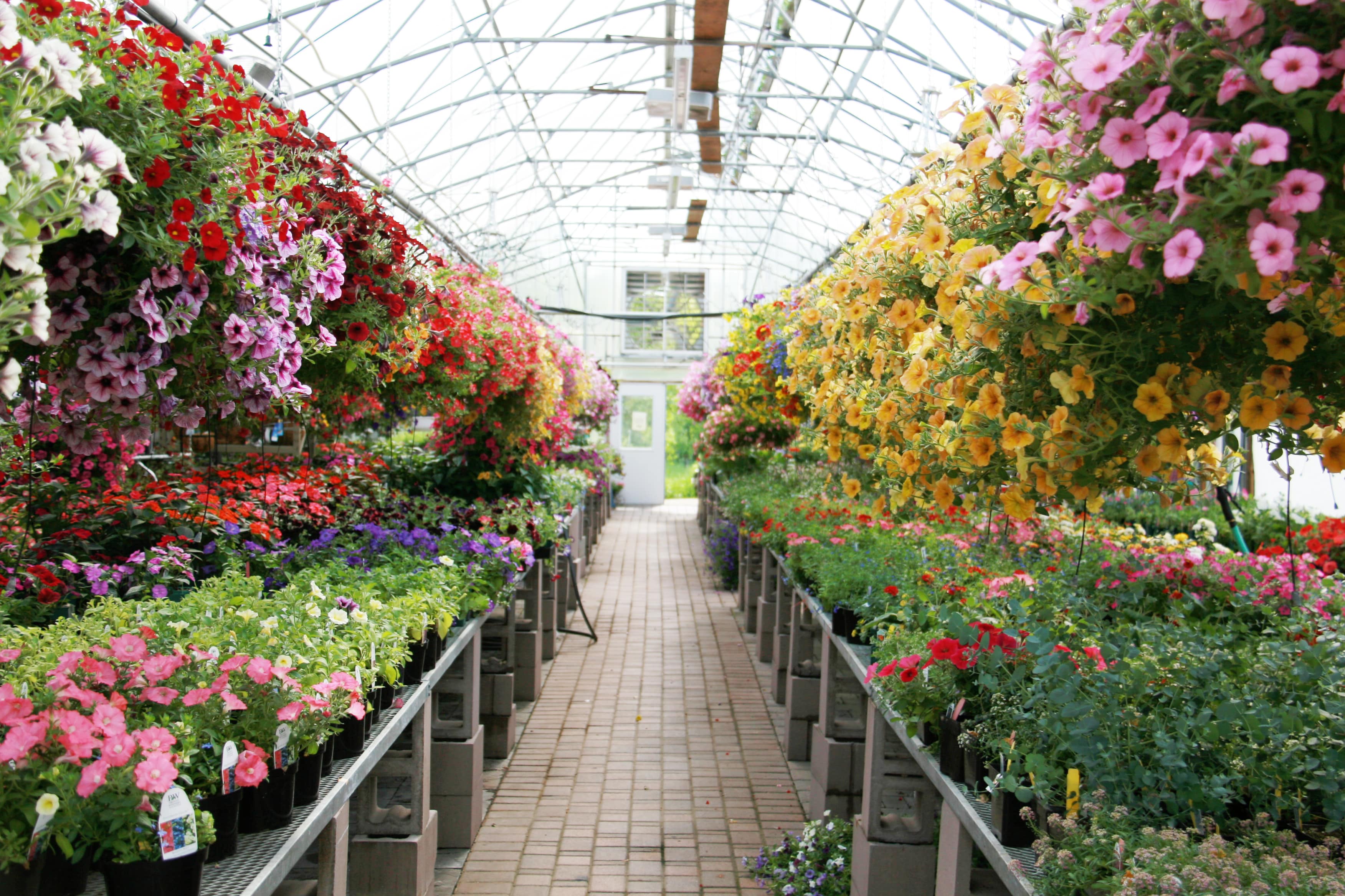 Garden Center in Eau Claire, WI | Open Year-Round | Green Oasis