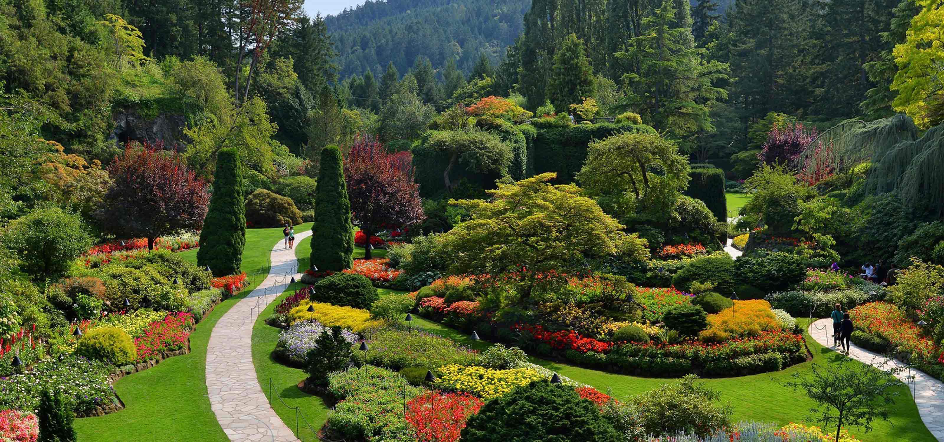 Seattle to The Butchart Gardens Day Trip | Clipper Vacations