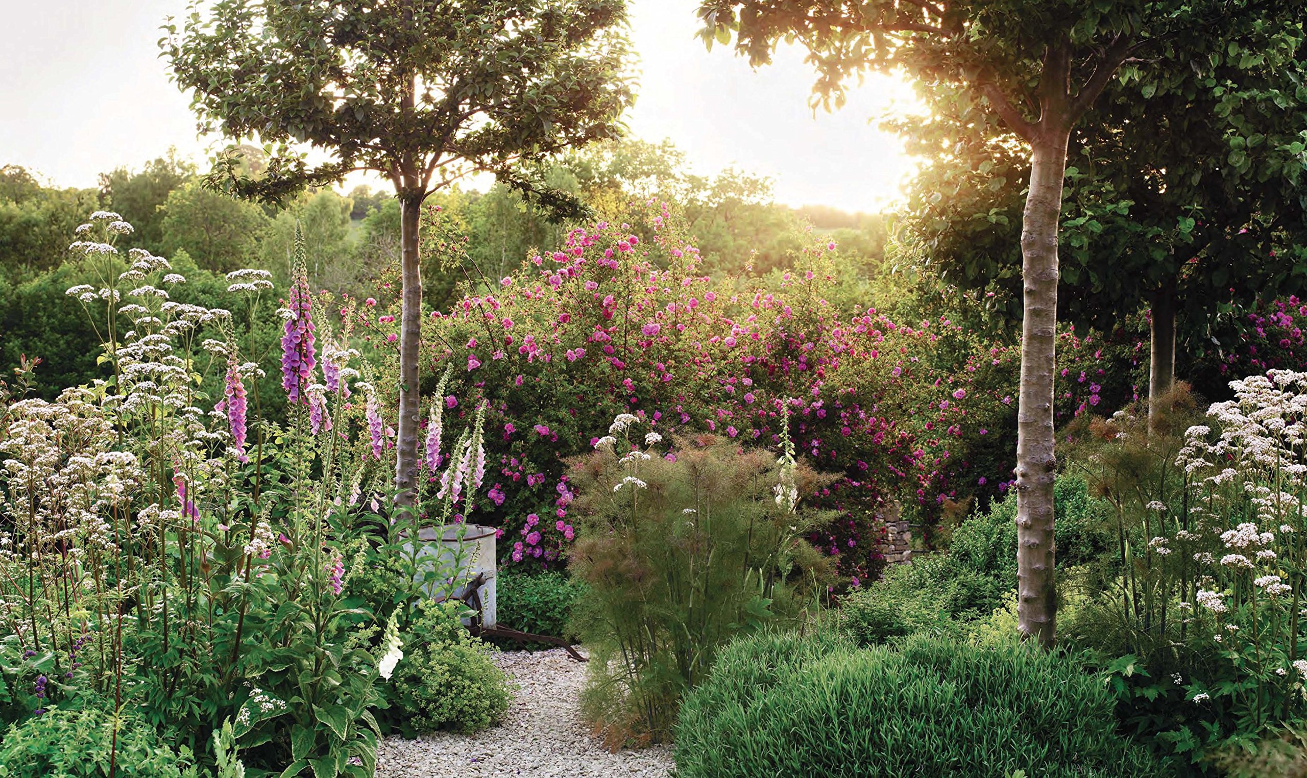 The Thoughtful Gardener: An Intelligent Approach to Garden Design ...