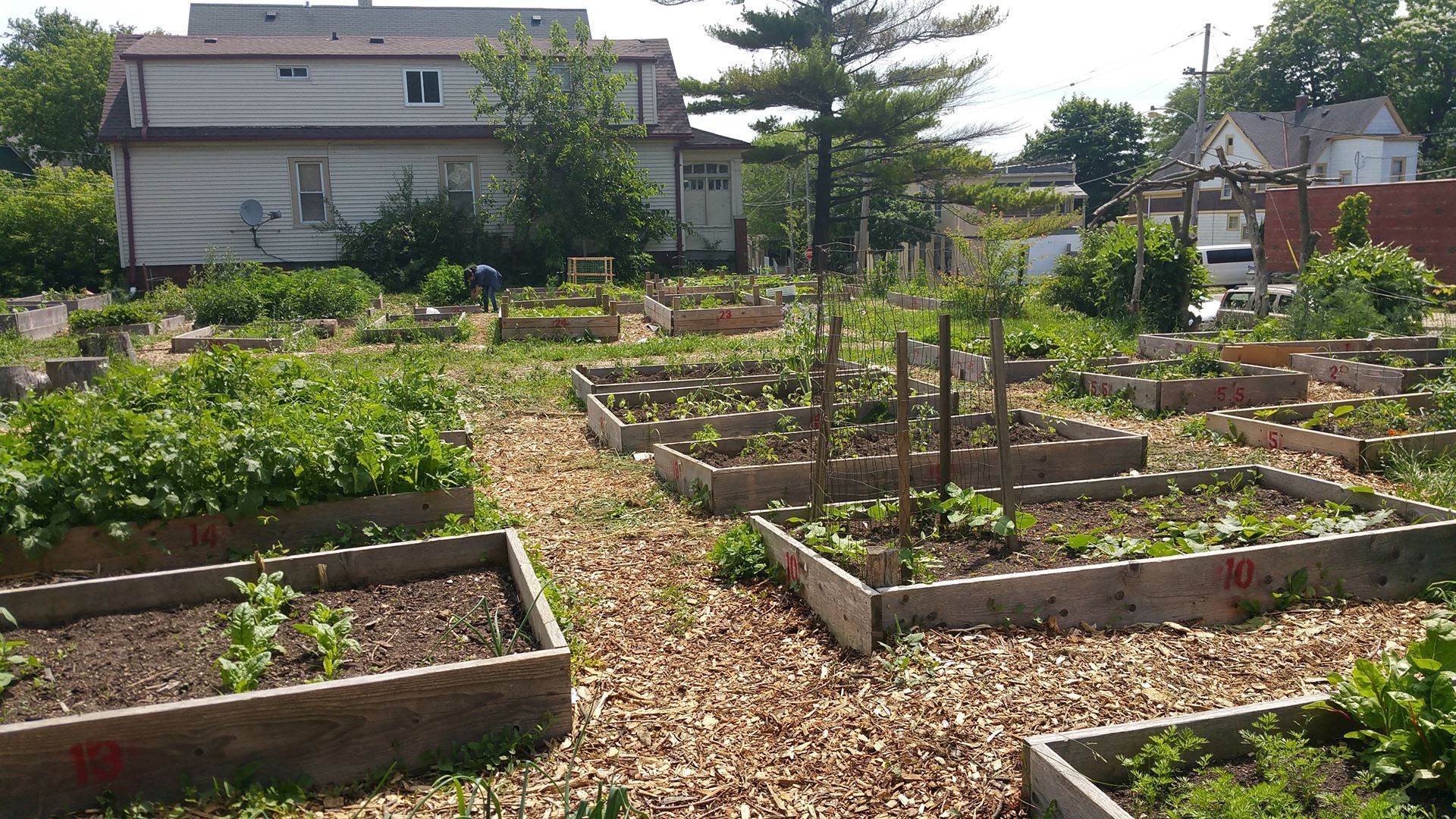 Victory Garden Initiative - Victory Garden Urban Farm