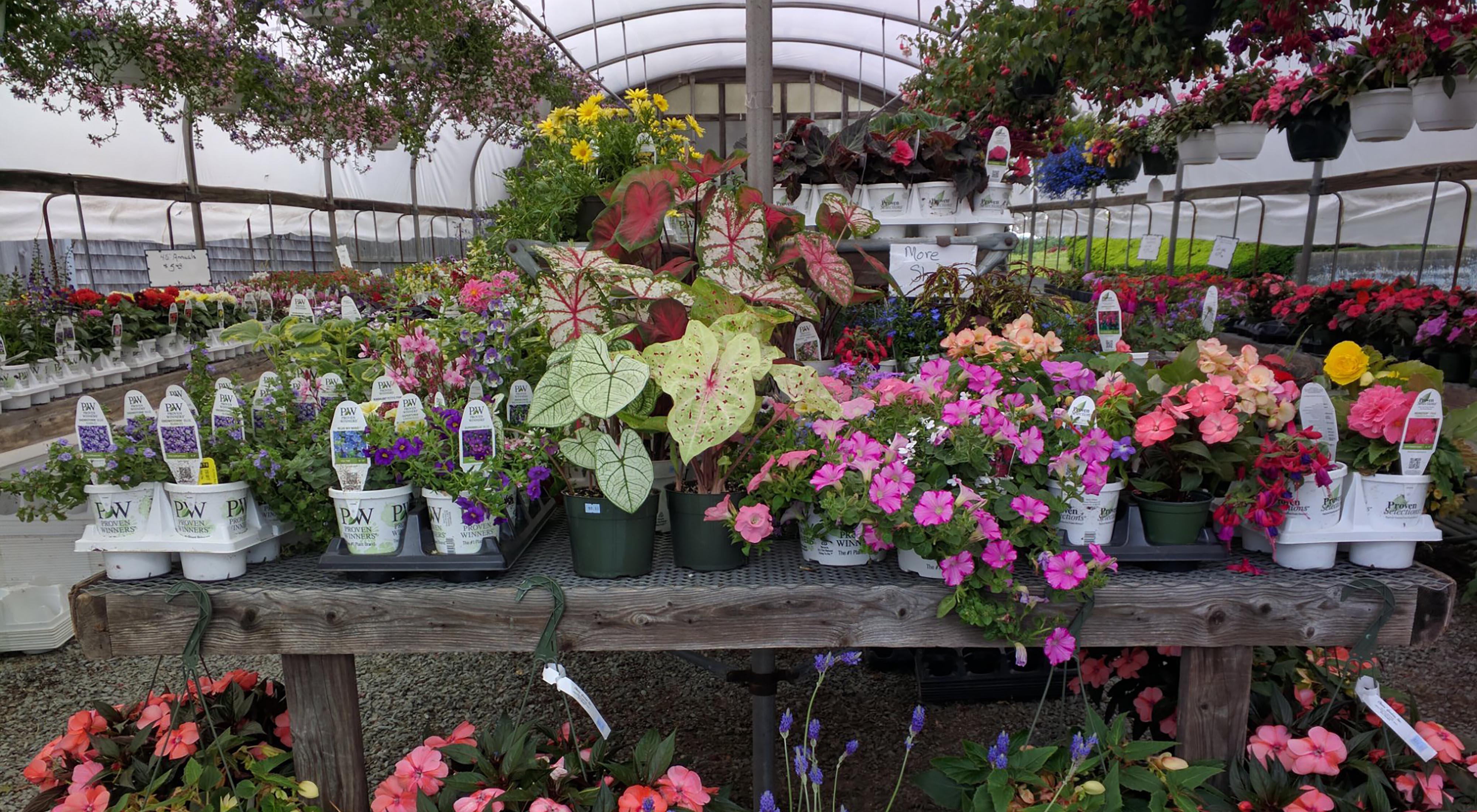 Chaves' Gardens: Florist, Nursery and Garden Supply Store
