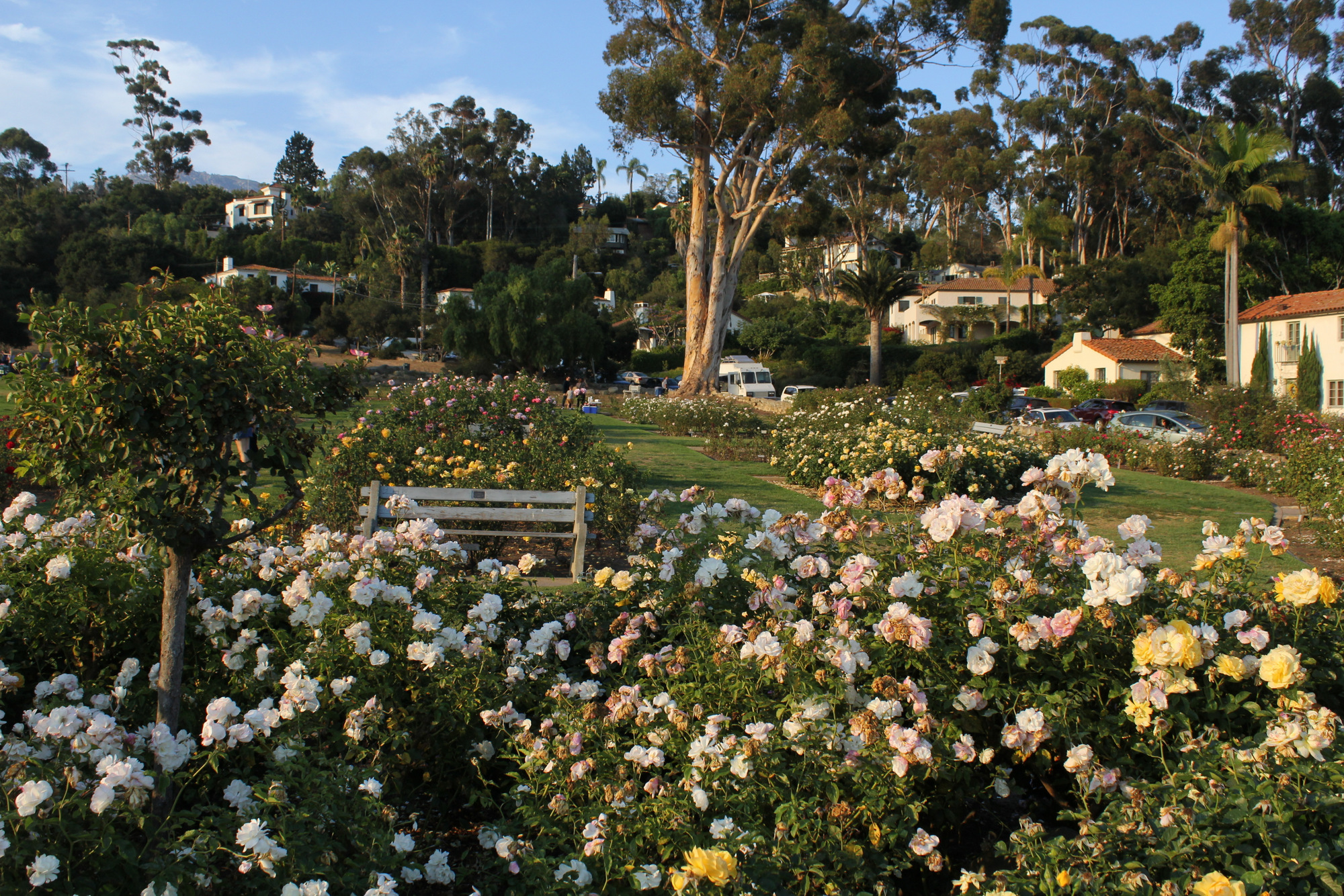 Mission Park and Rose Garden - Santa Barbara Parks