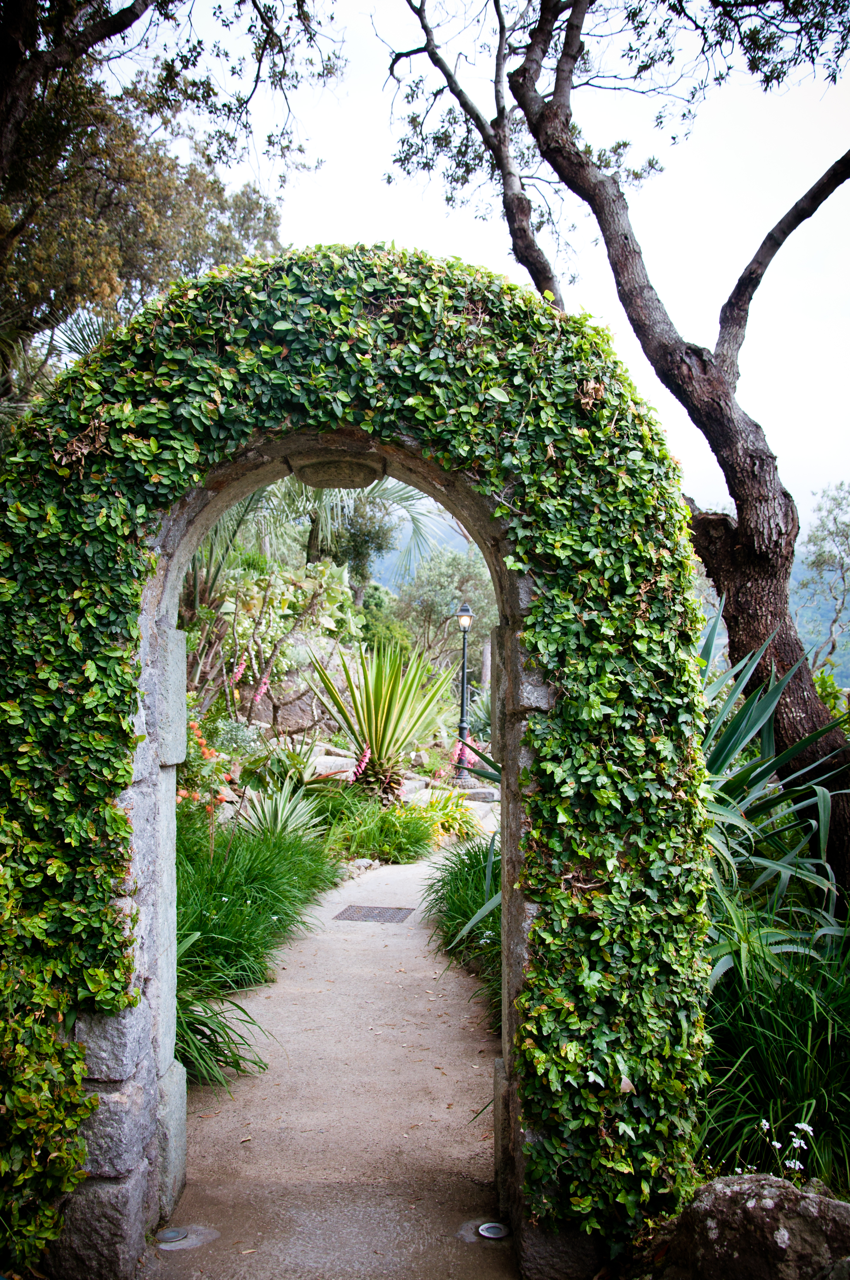 Garden arch photo