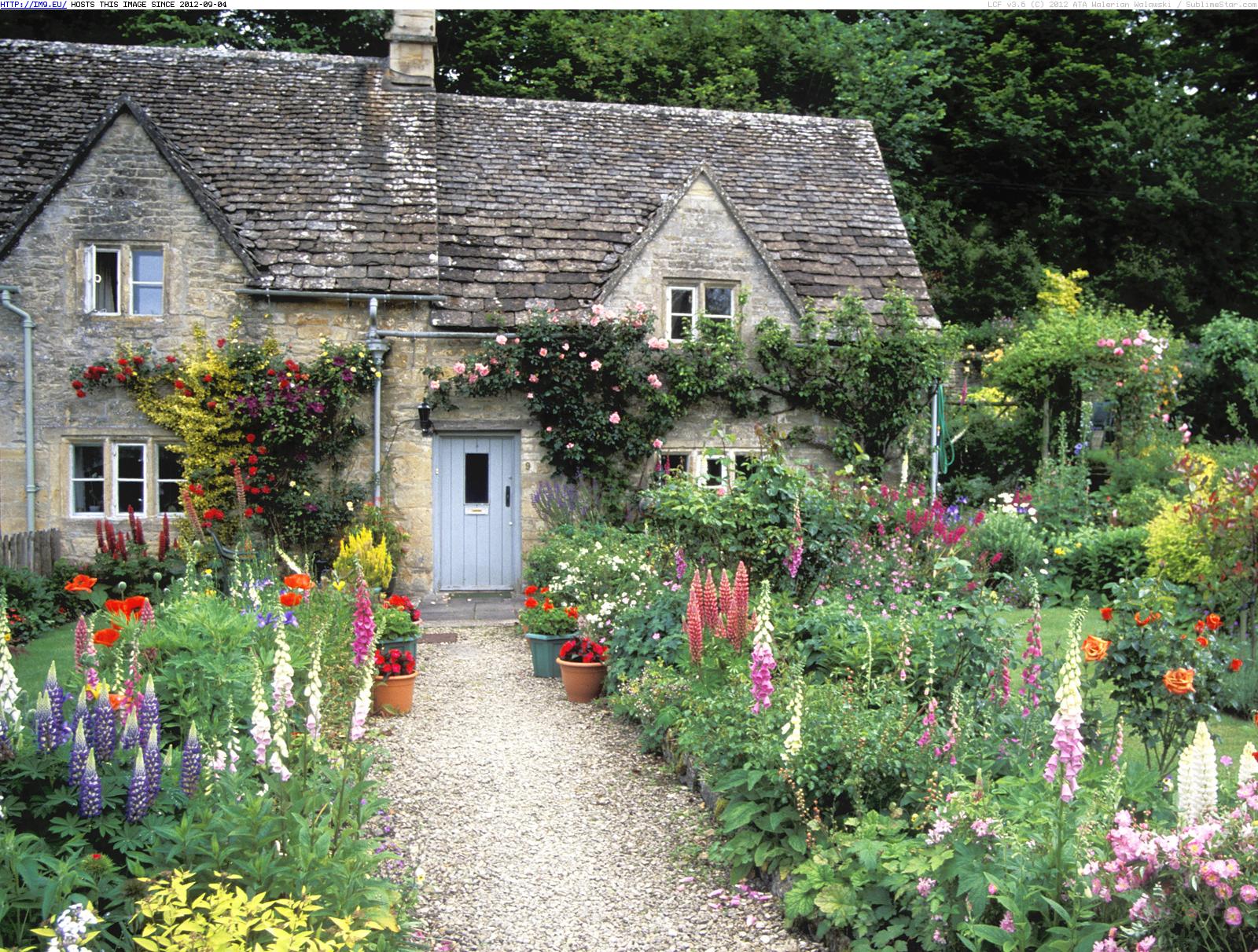 cottage garden aynsley vase | Latest Home Decor and Design