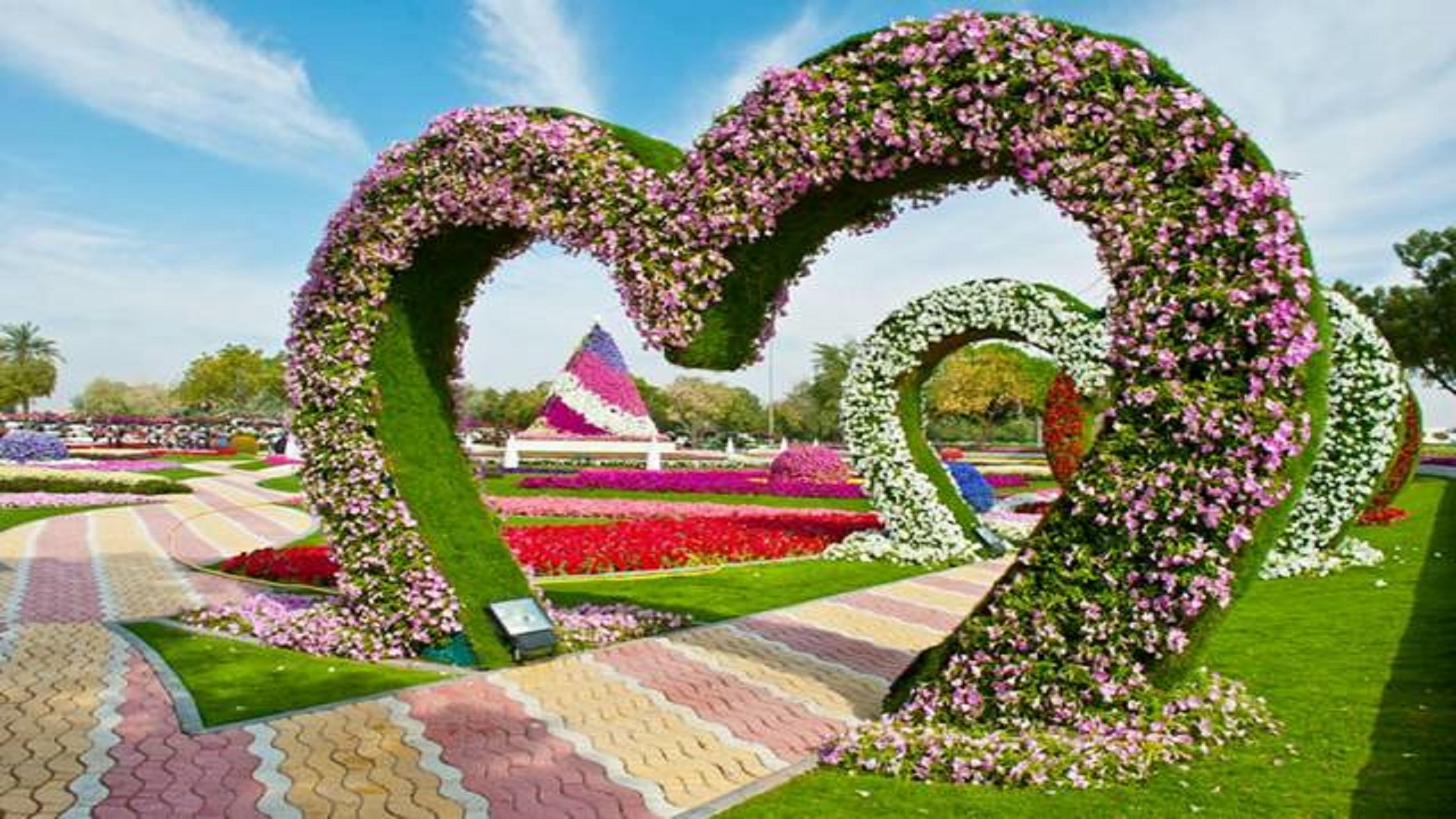 garden-flowers-hd-wallpapers-free-for-desktop - HD Wallpaper