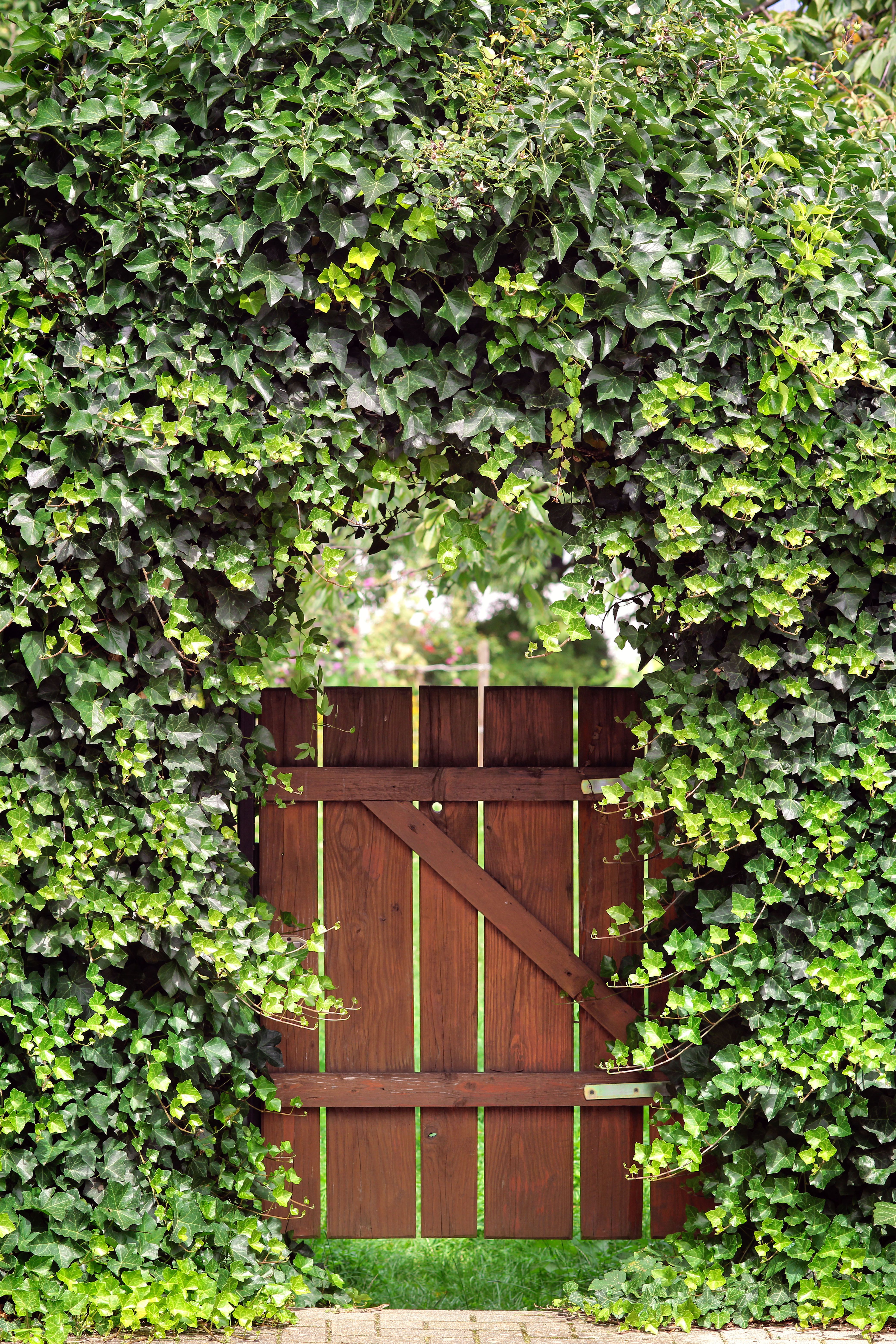 17 Best Garden Gates - Ideas for Beautiful Garden Gates