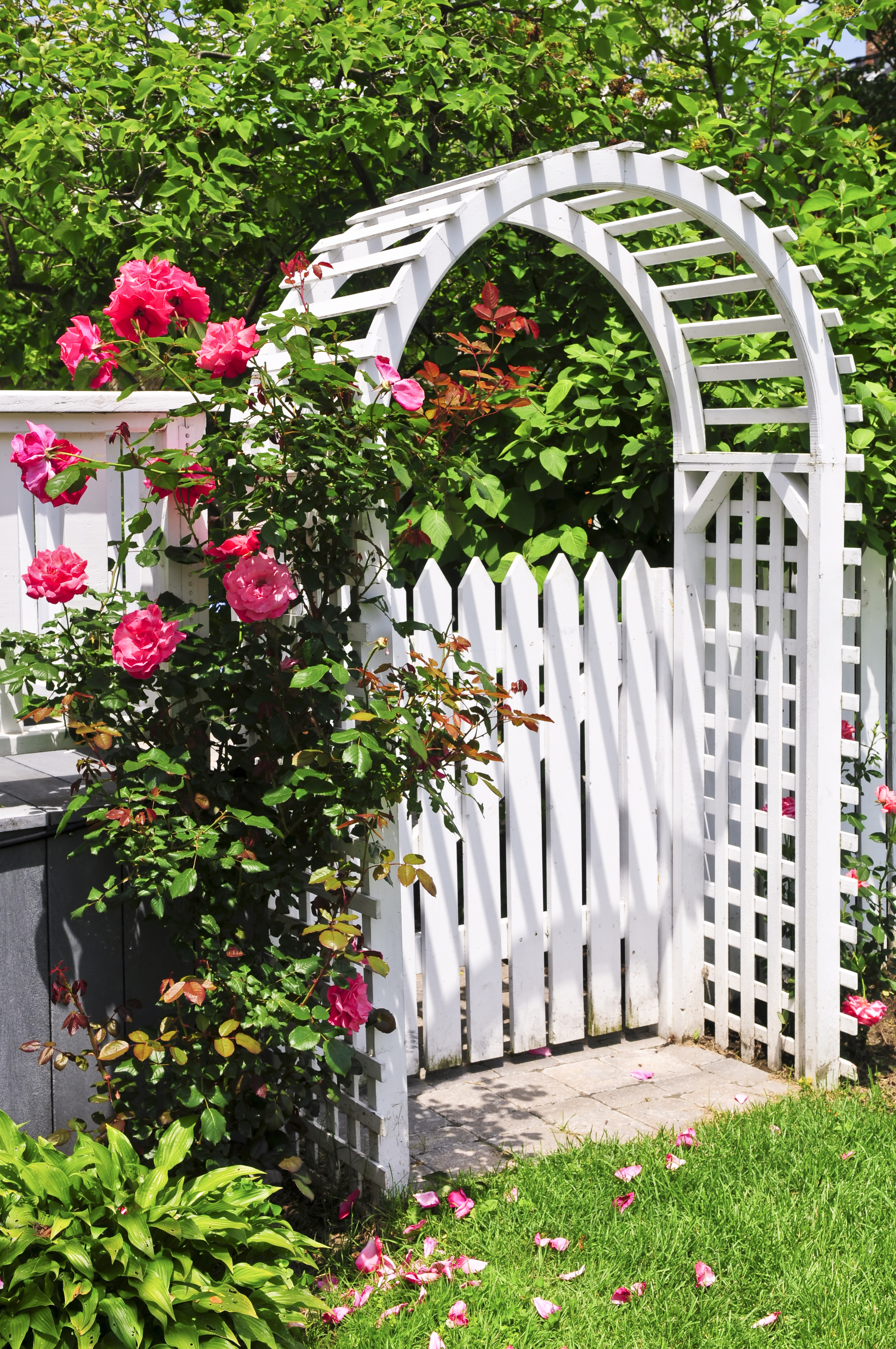 Three ways to turn a garden gate into a garden focal point – Twin Cities
