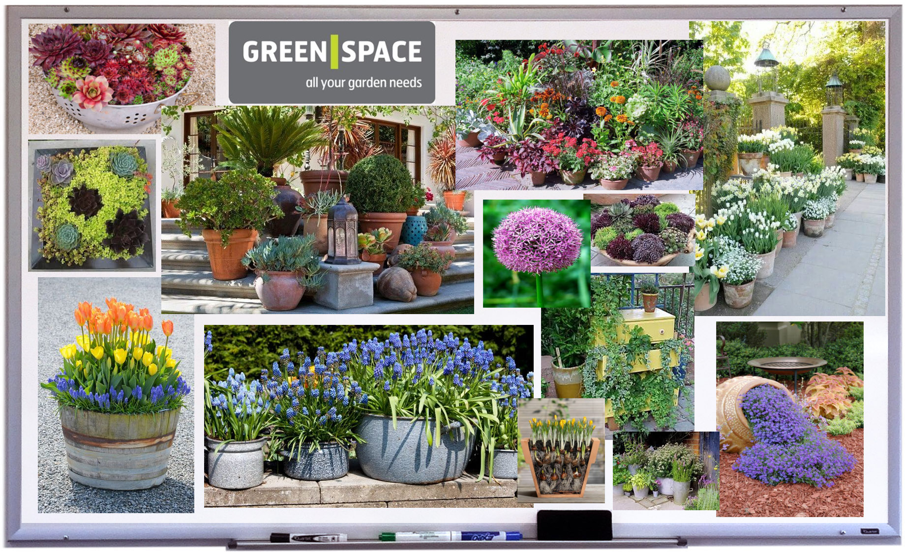 Free photo: Garden mood - Bloom, Blossom, Colours - Free Download - Jooinn