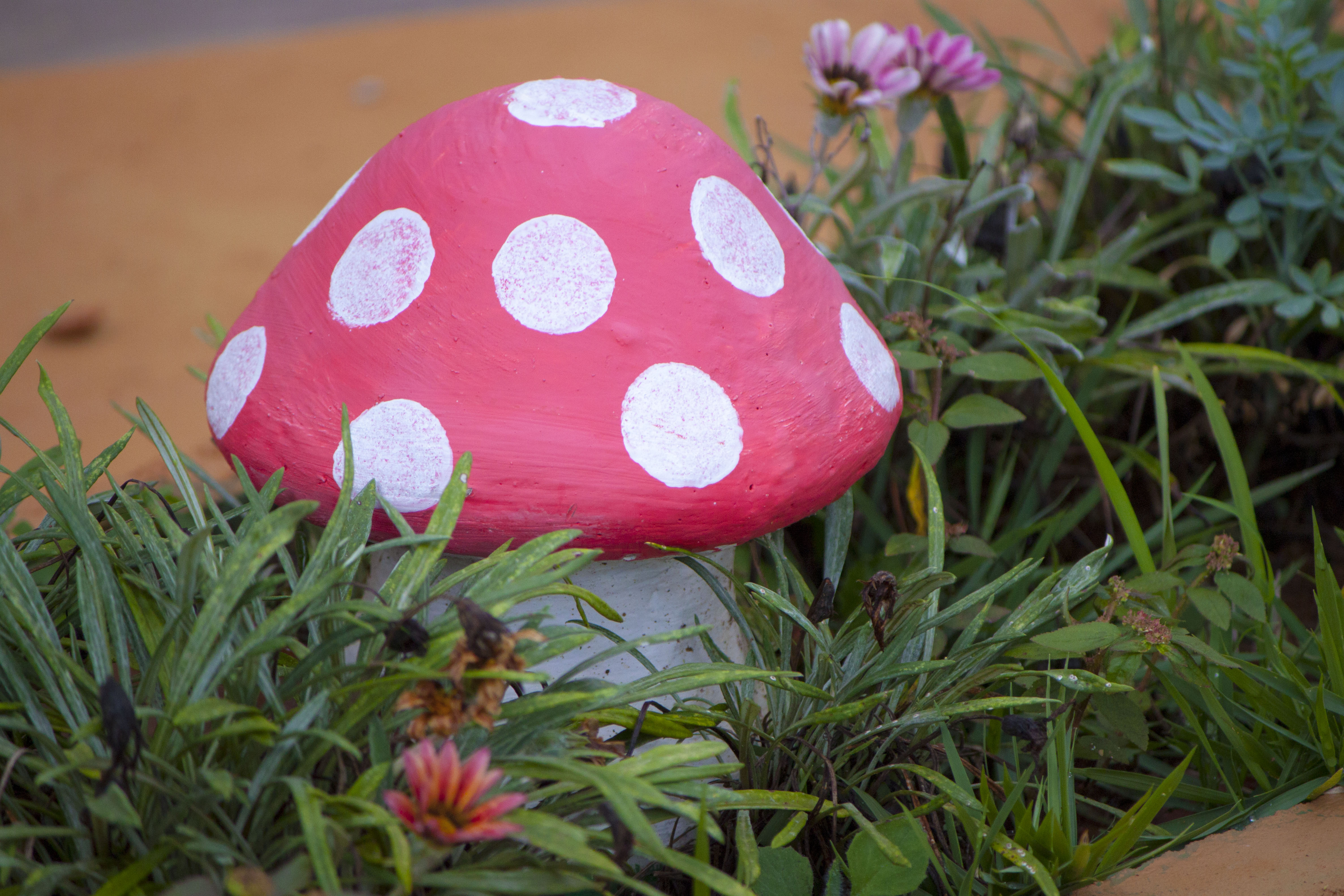 Garden mushroom surrounded by plants photo