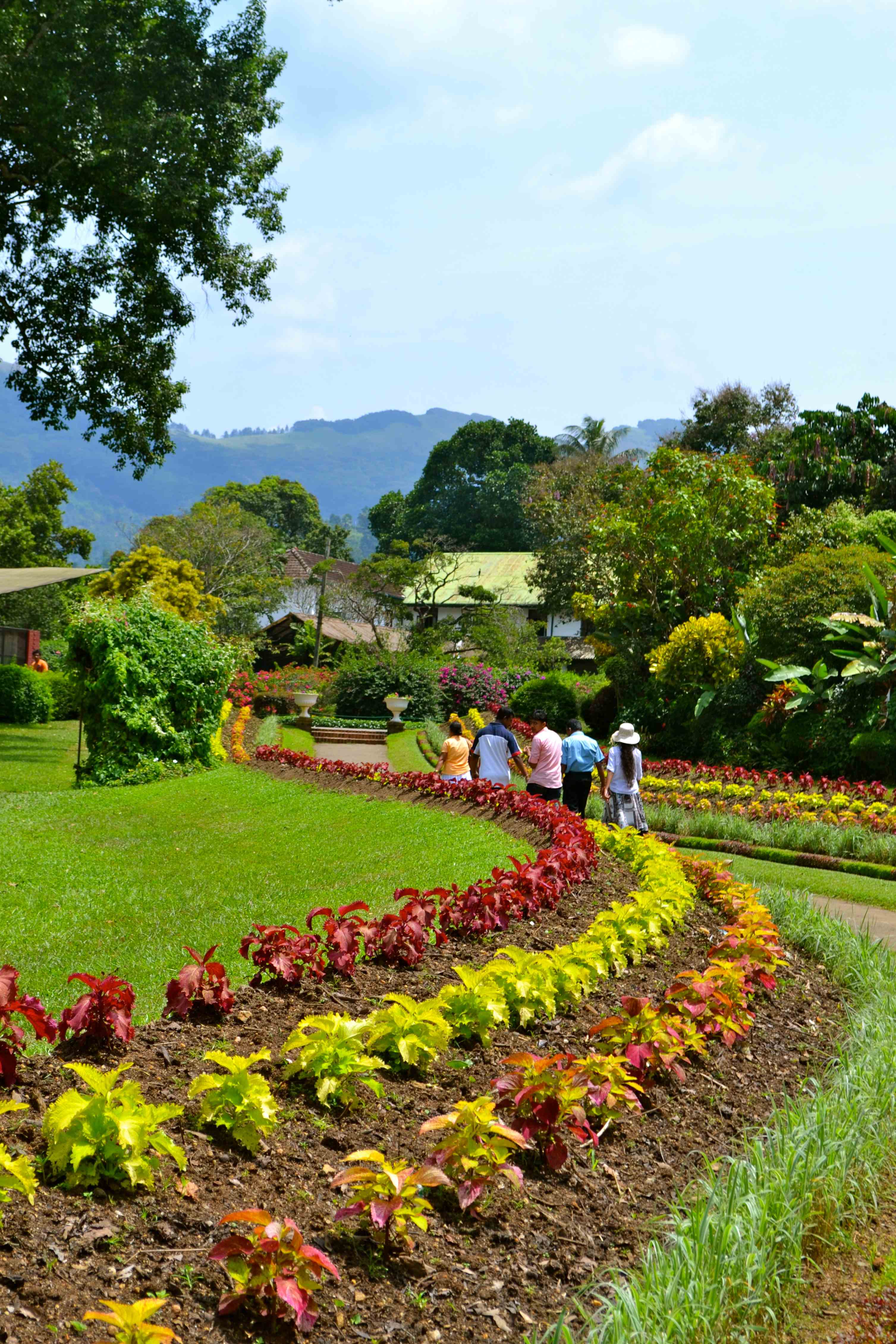 Sri Lanka: Peradeniya Botanical Gardens – Just Go.